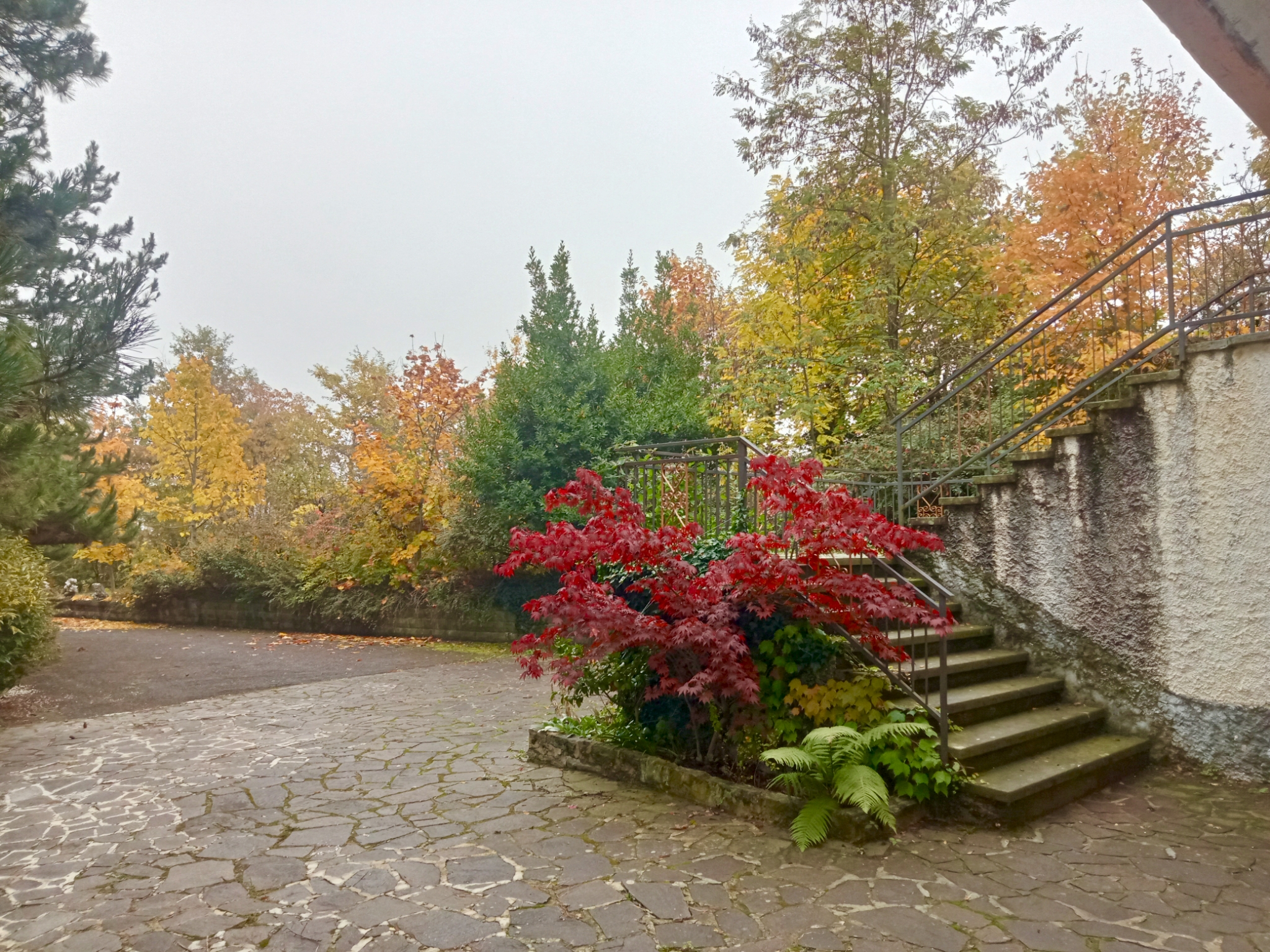 Valbucciana 22/10/2025