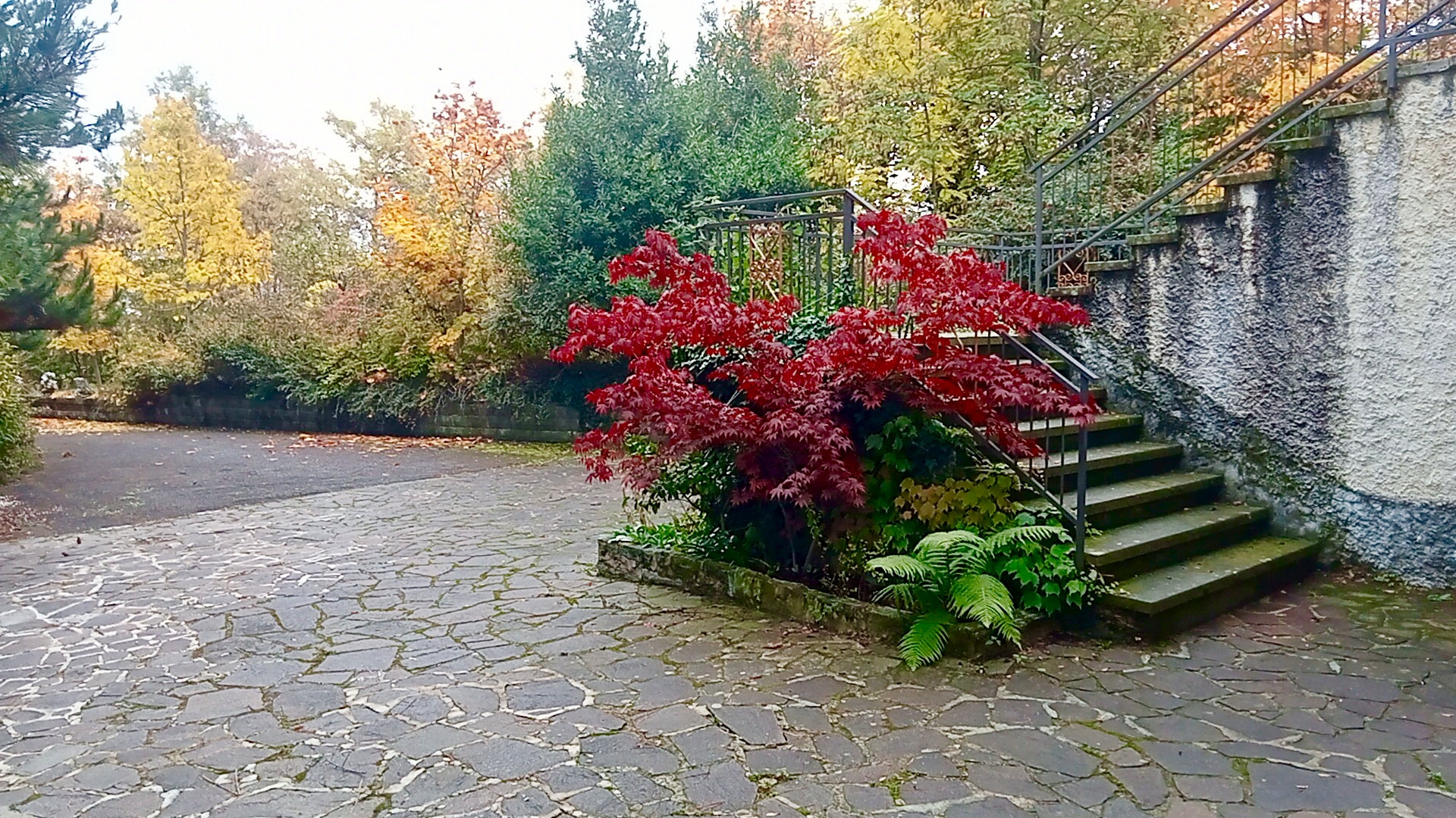 Valbucciana 22/10/2025