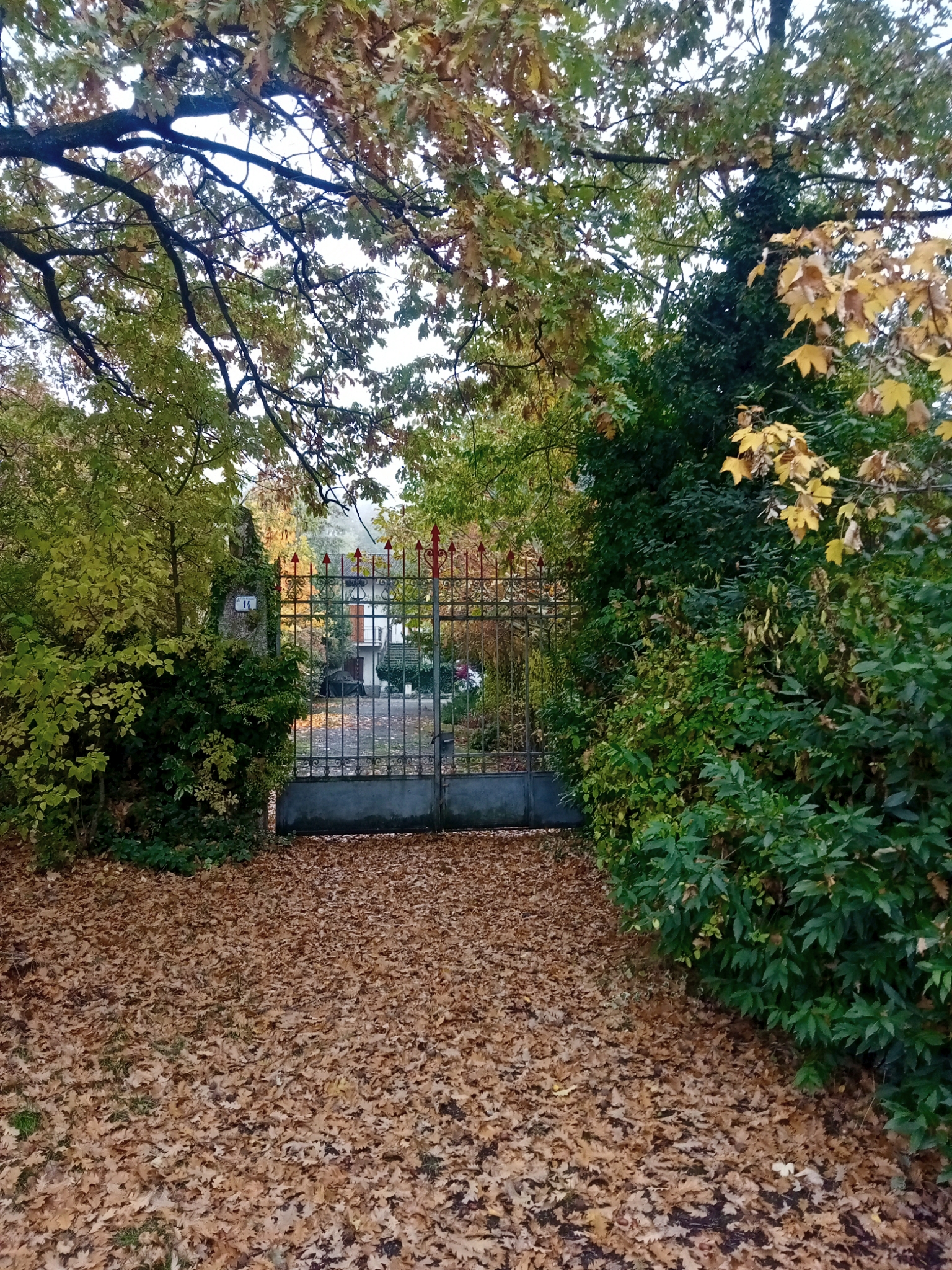 Valbucciana 22/10/2025