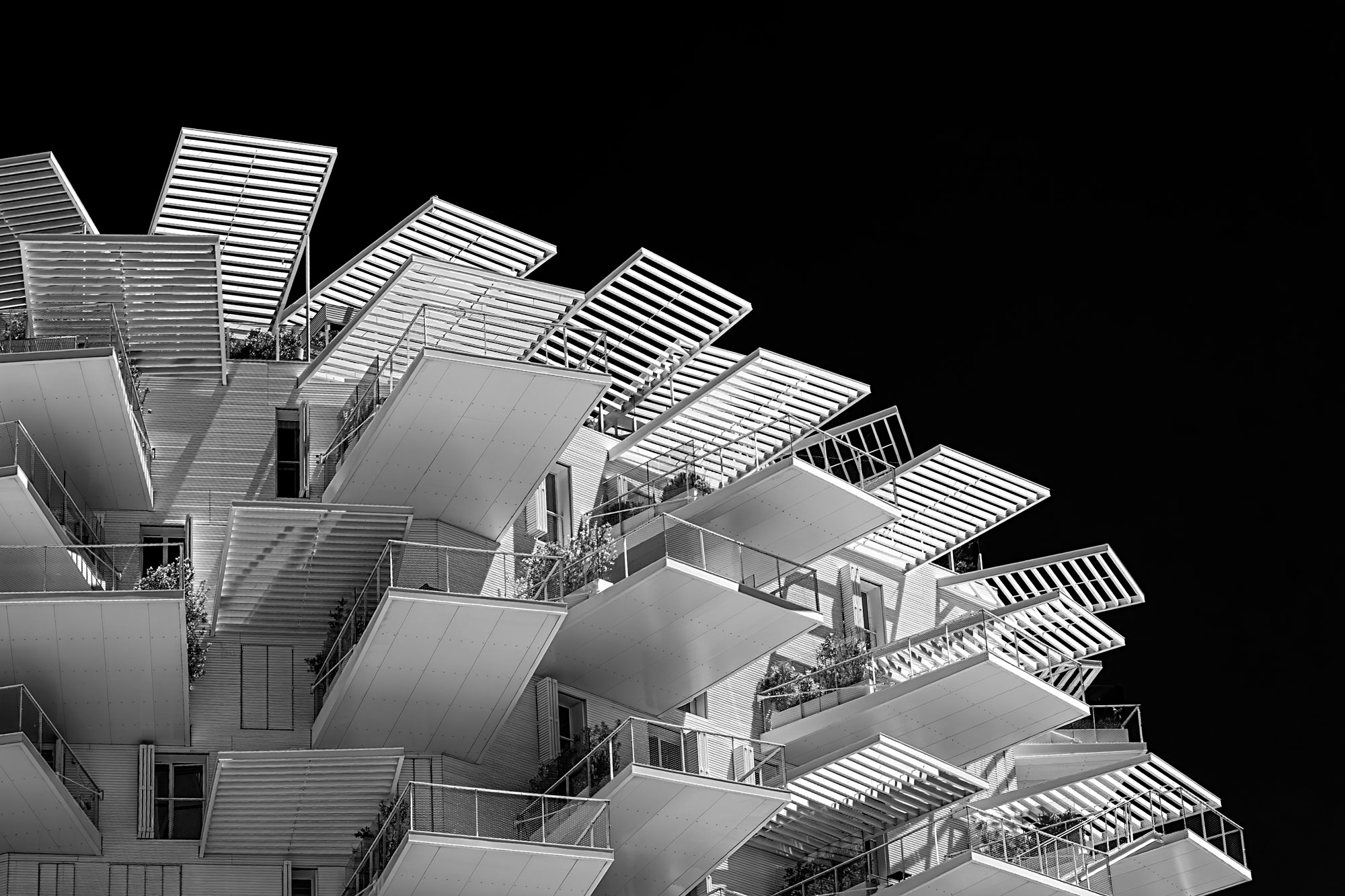 L'arbre Blanc, Montpellier
