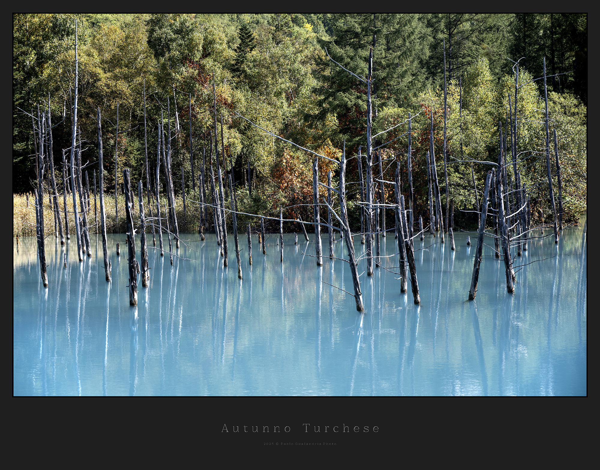 Autumn Turquoise