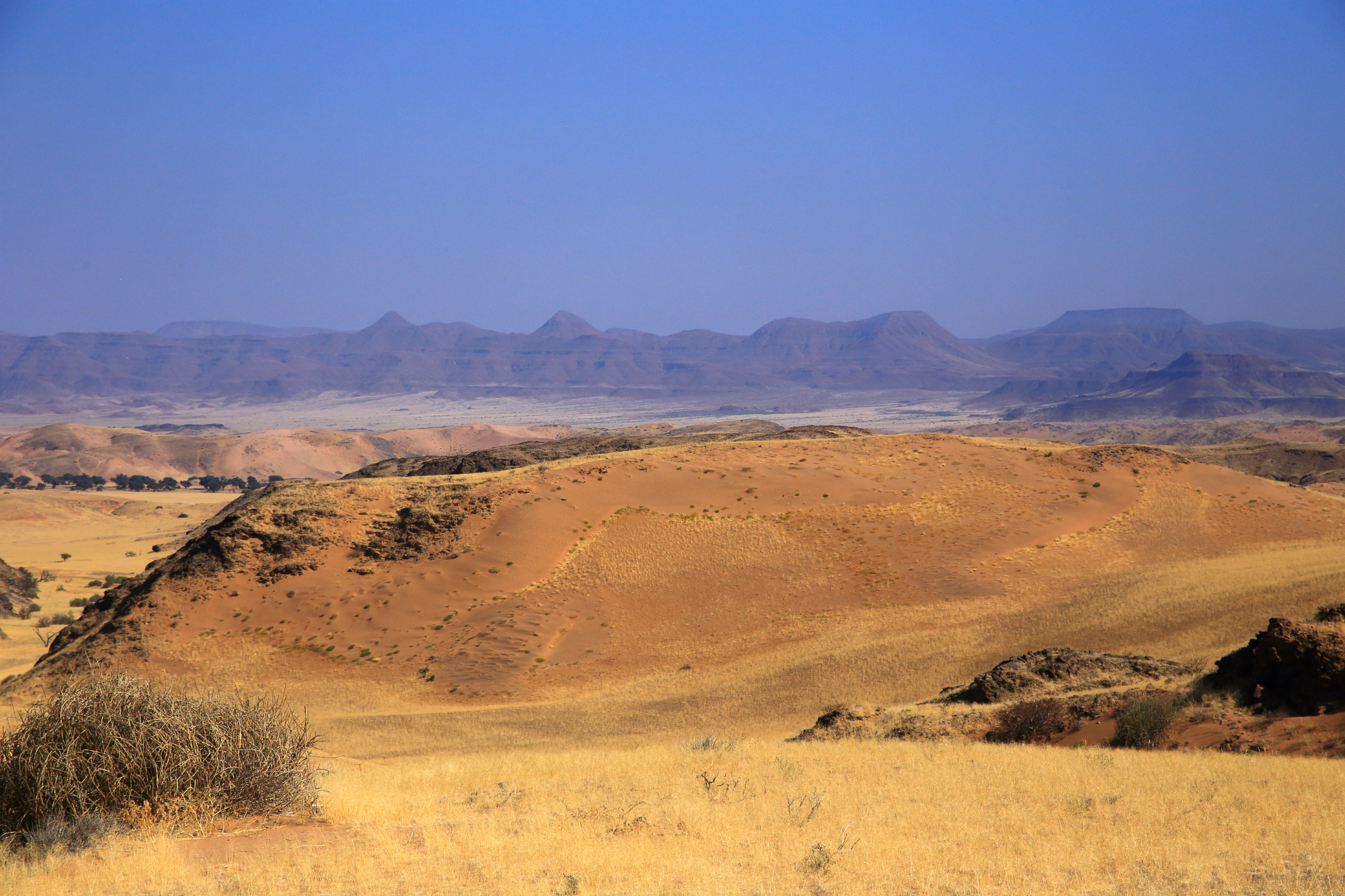 Damaraland