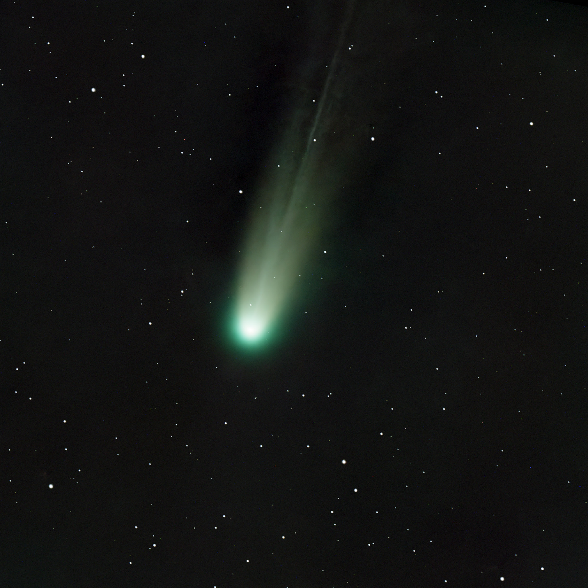 Modest attempt on C/2025 A6 (Lemmon)