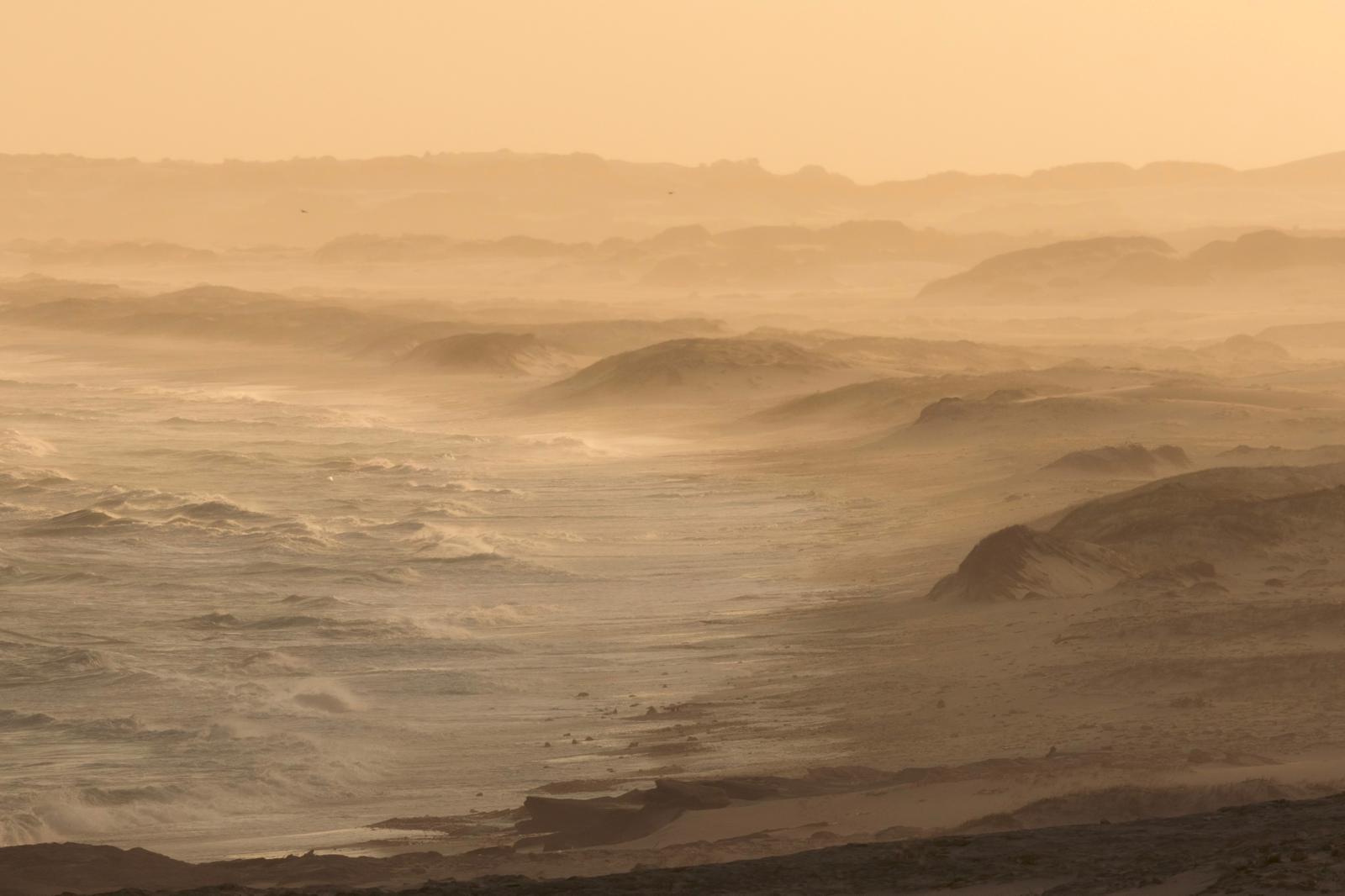 Dune