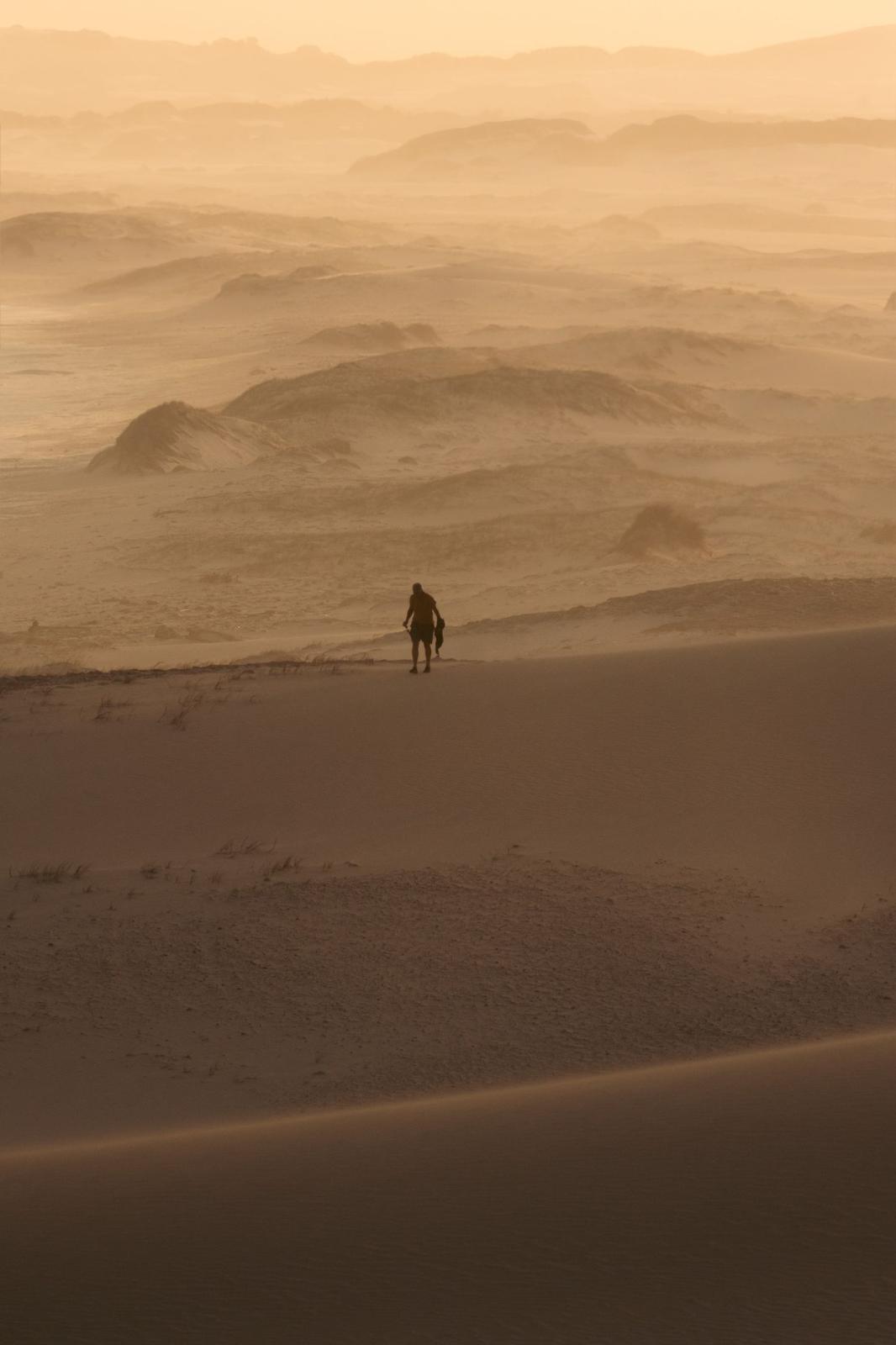 Dune
