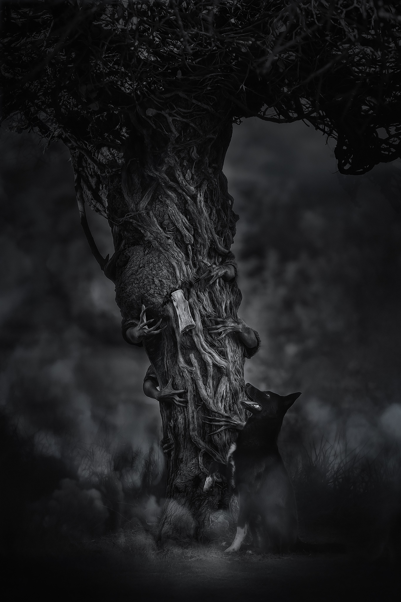 Cursed tree