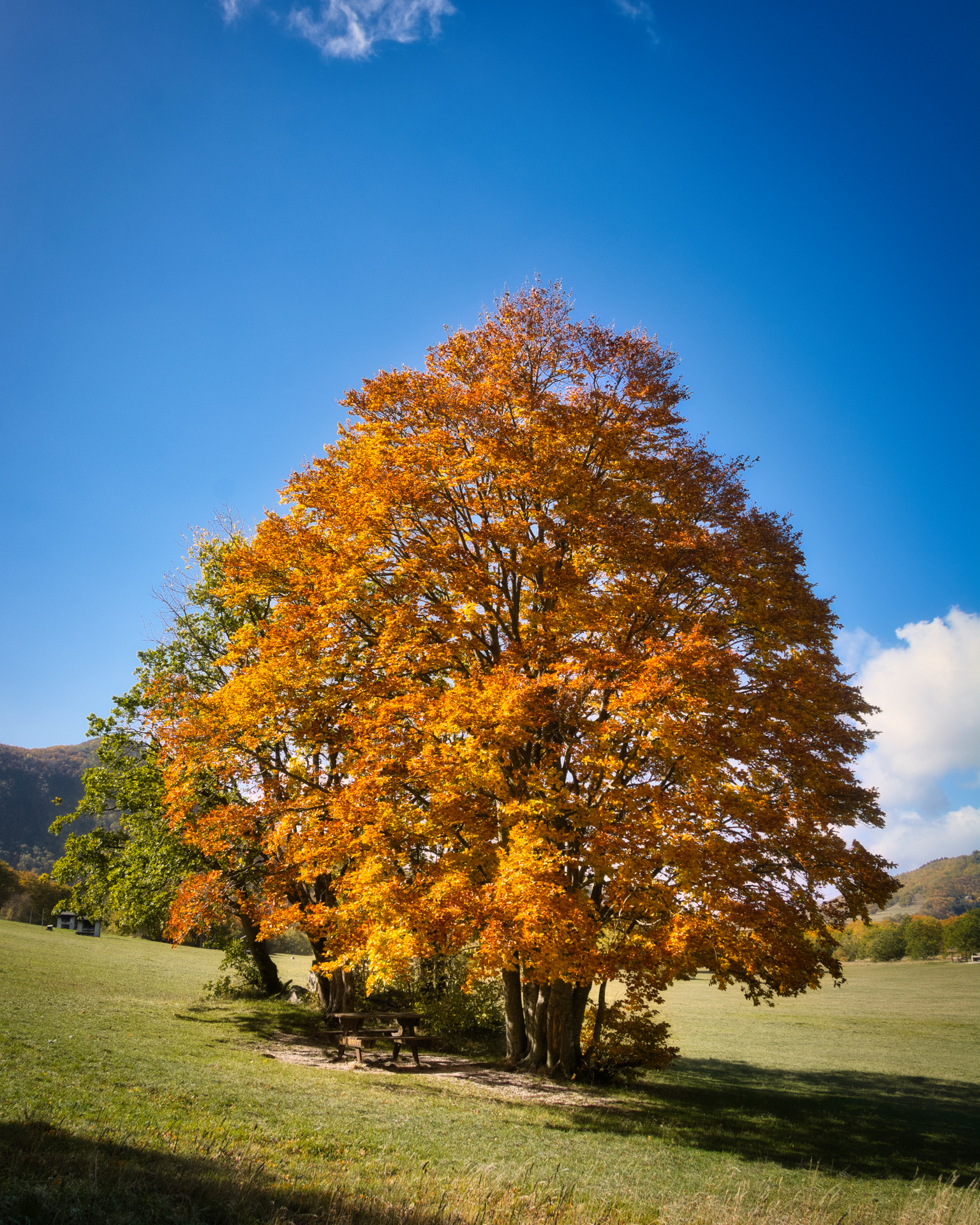I colori dell'autunno a Pian dell'Elmo (MC)