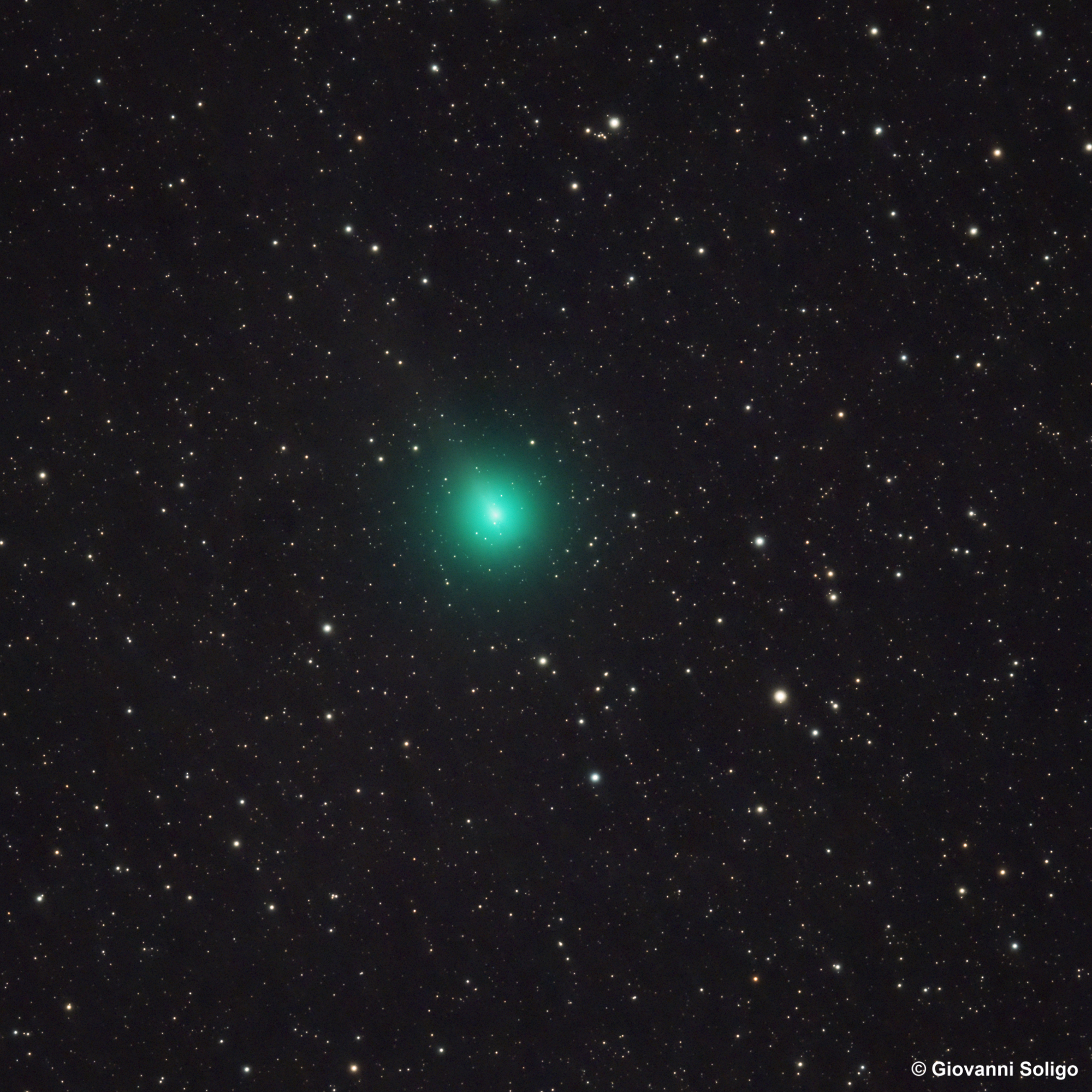 Cometa c/2025 R2 swan