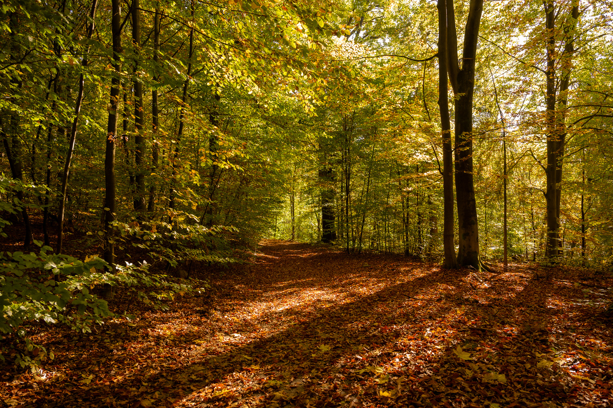 Autunno