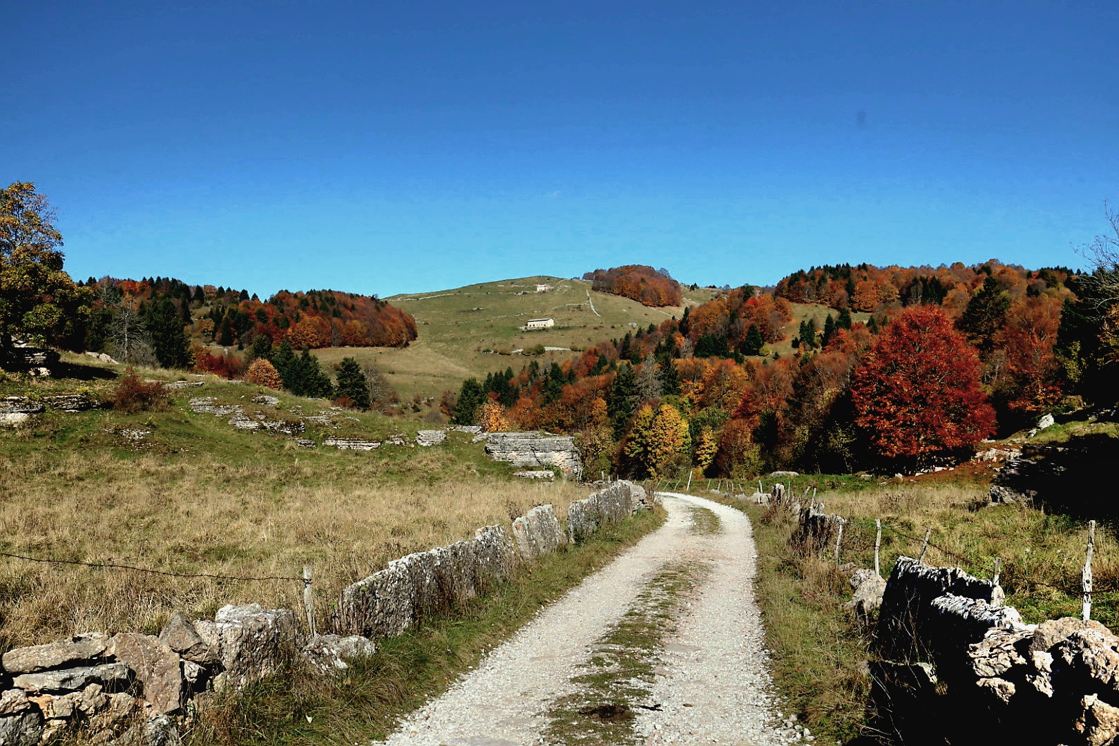 Lessinia - verso malga Moscarda