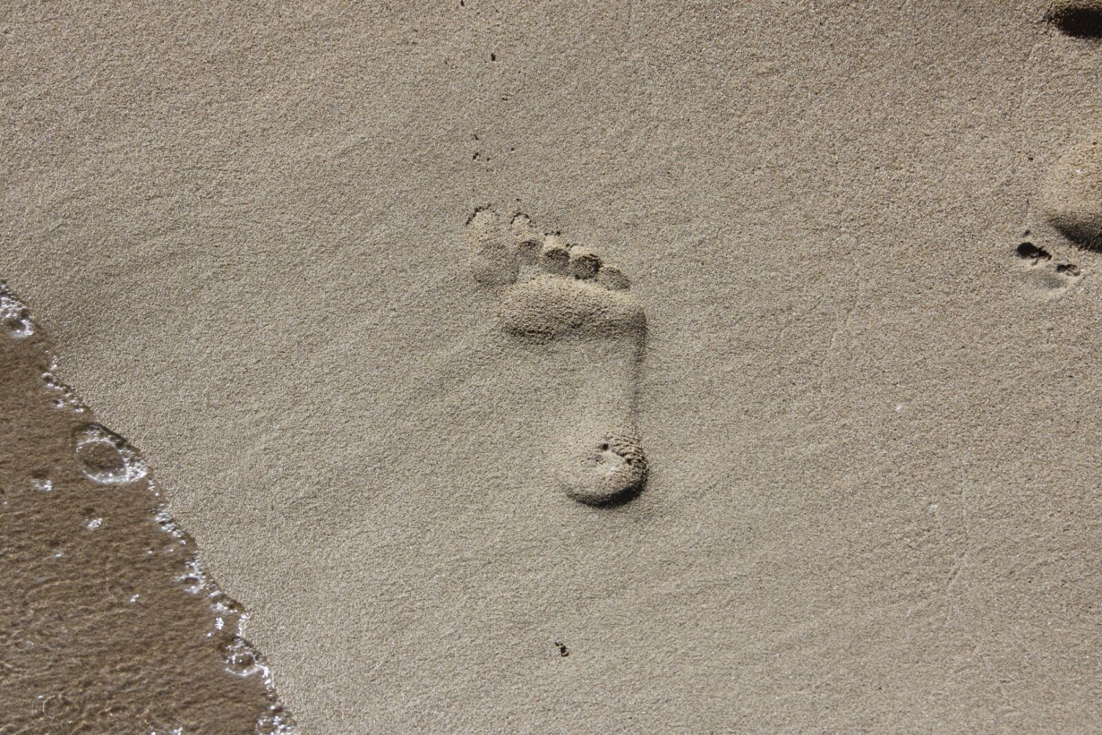 Footprint