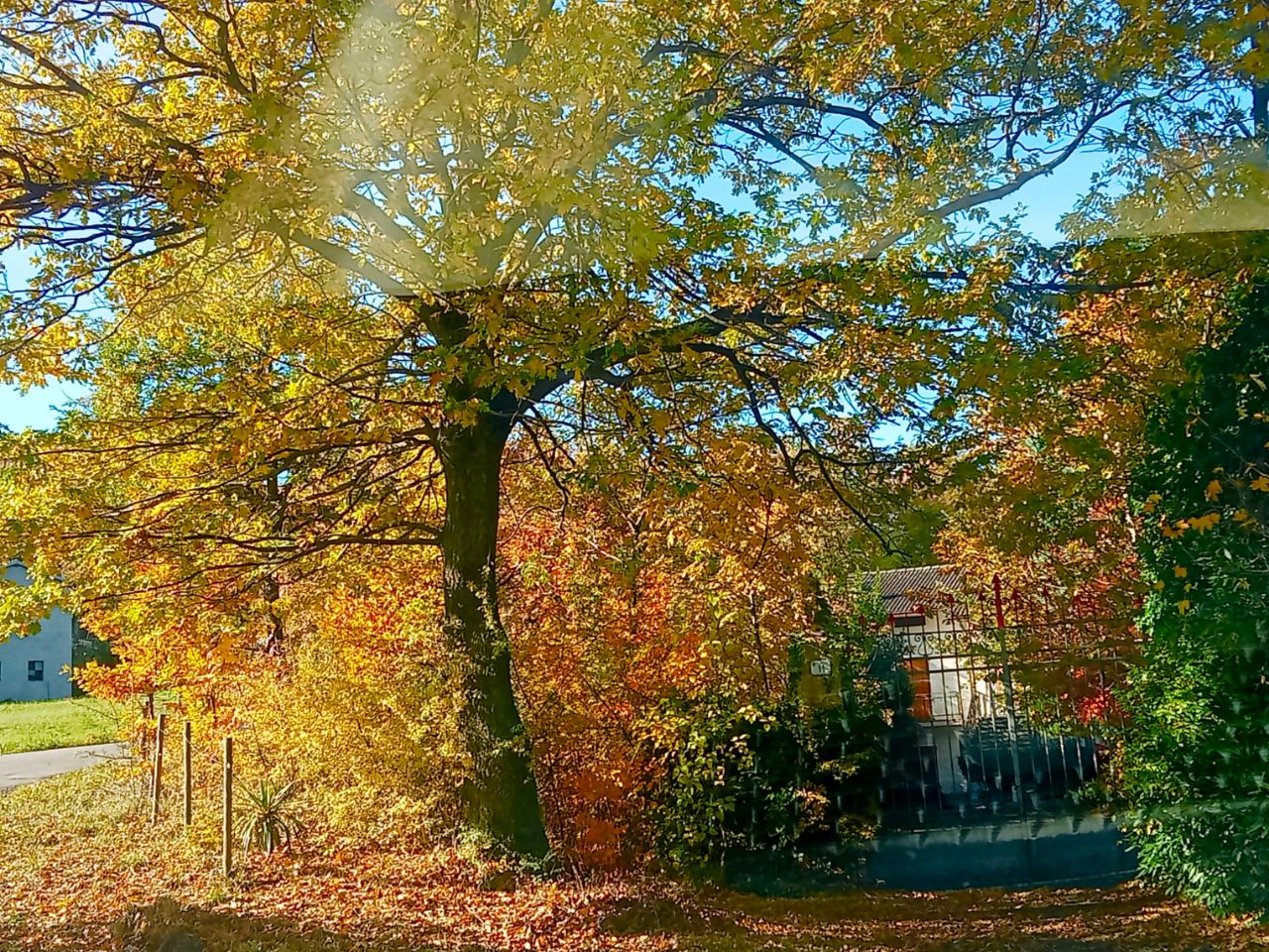 Valbucciana 26/10/2025