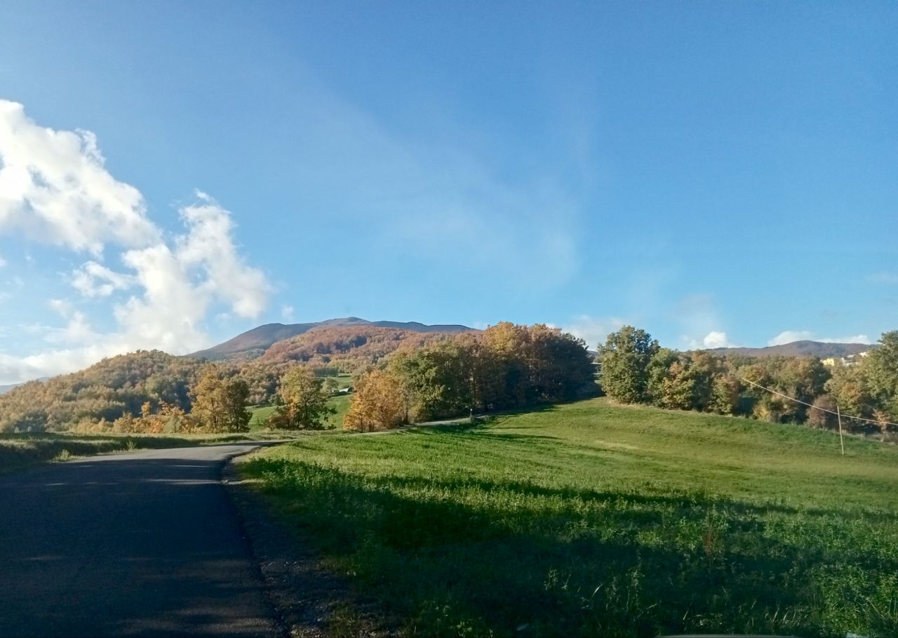 Valbucciana 26/10/2025