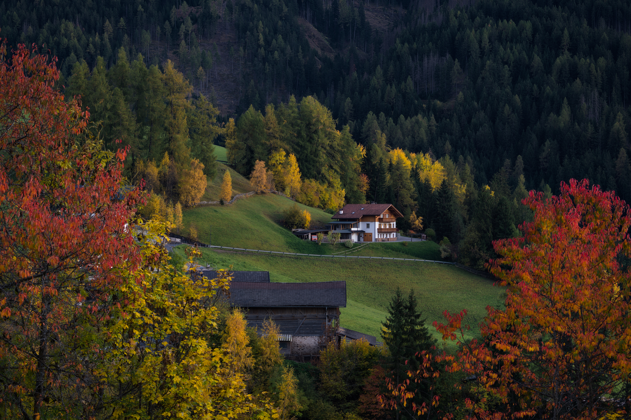 serata autunnale