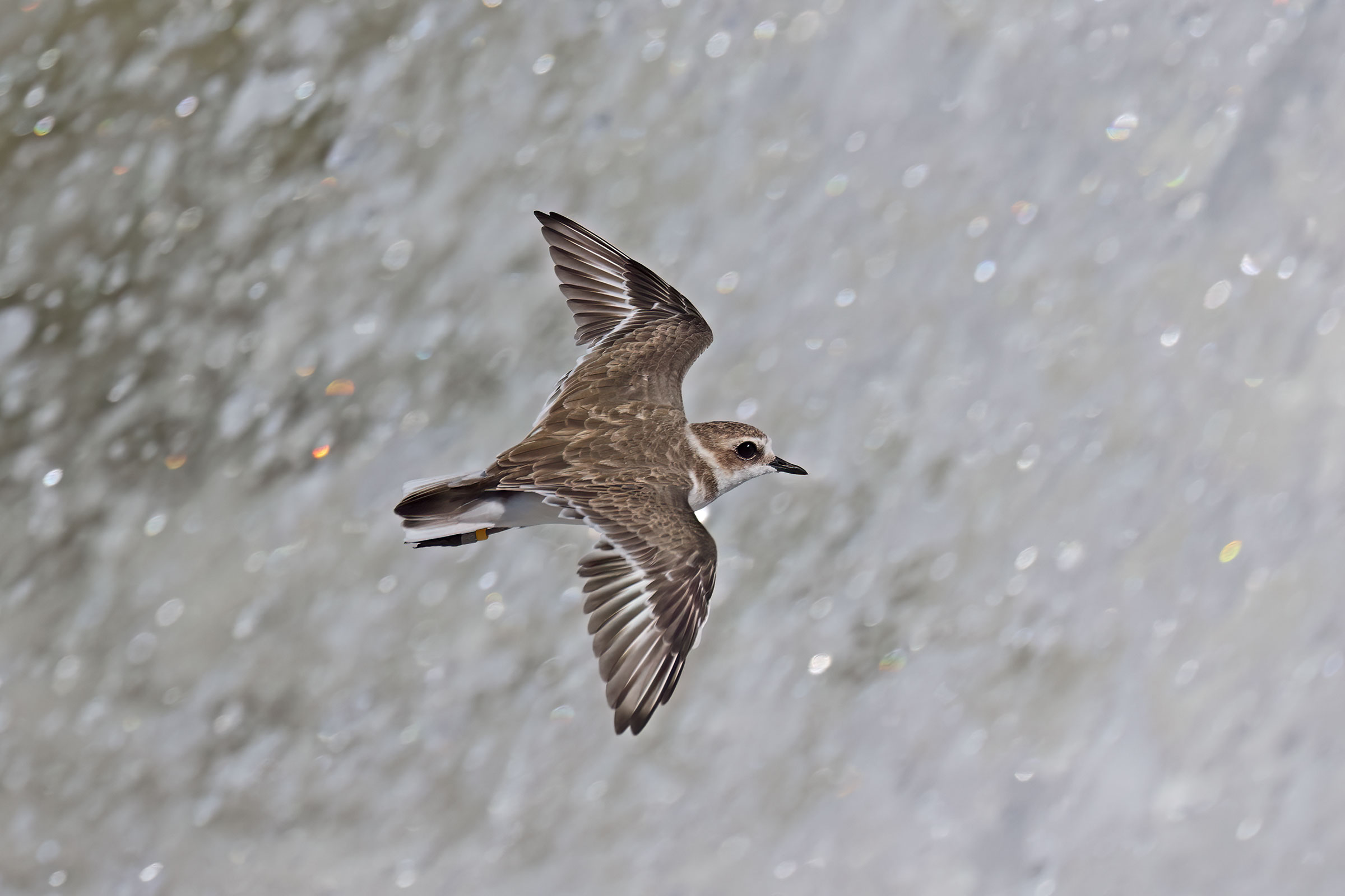 The friar and òa "waterfall"