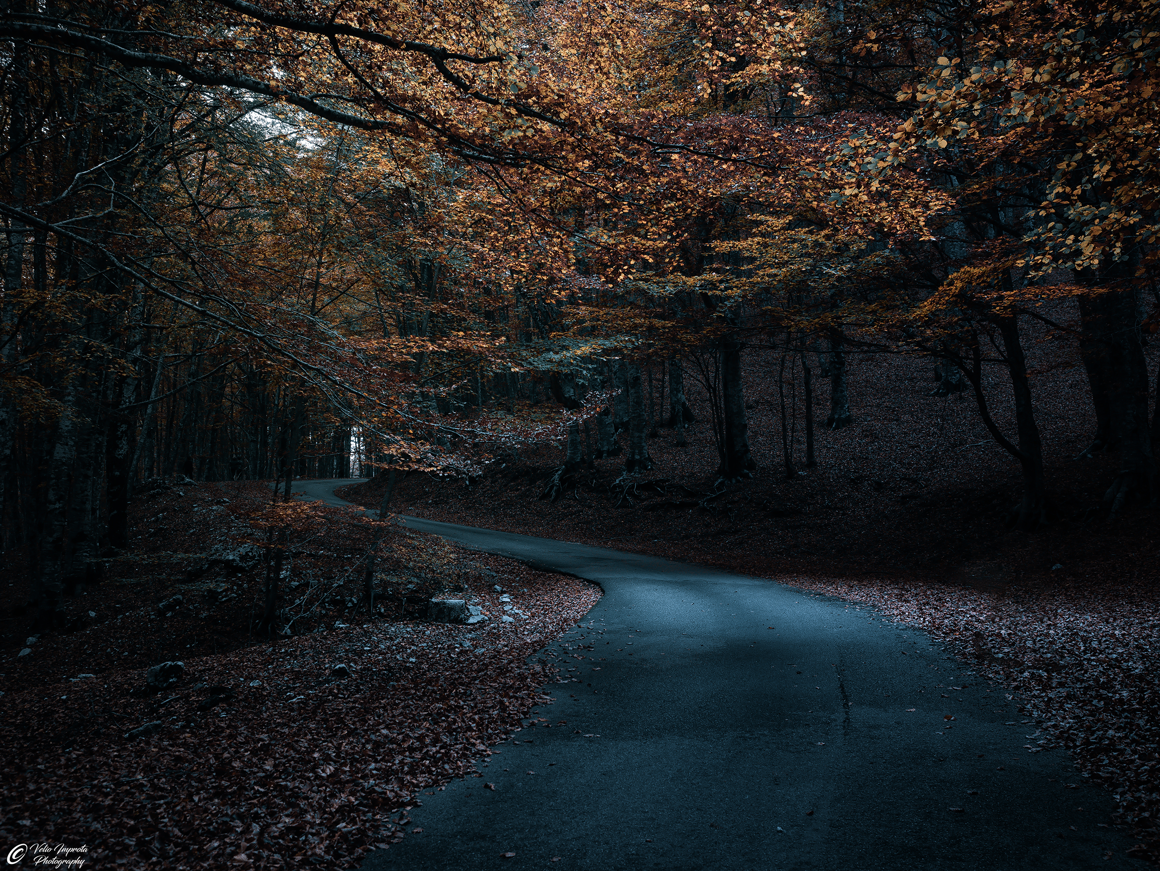 Autumn colors