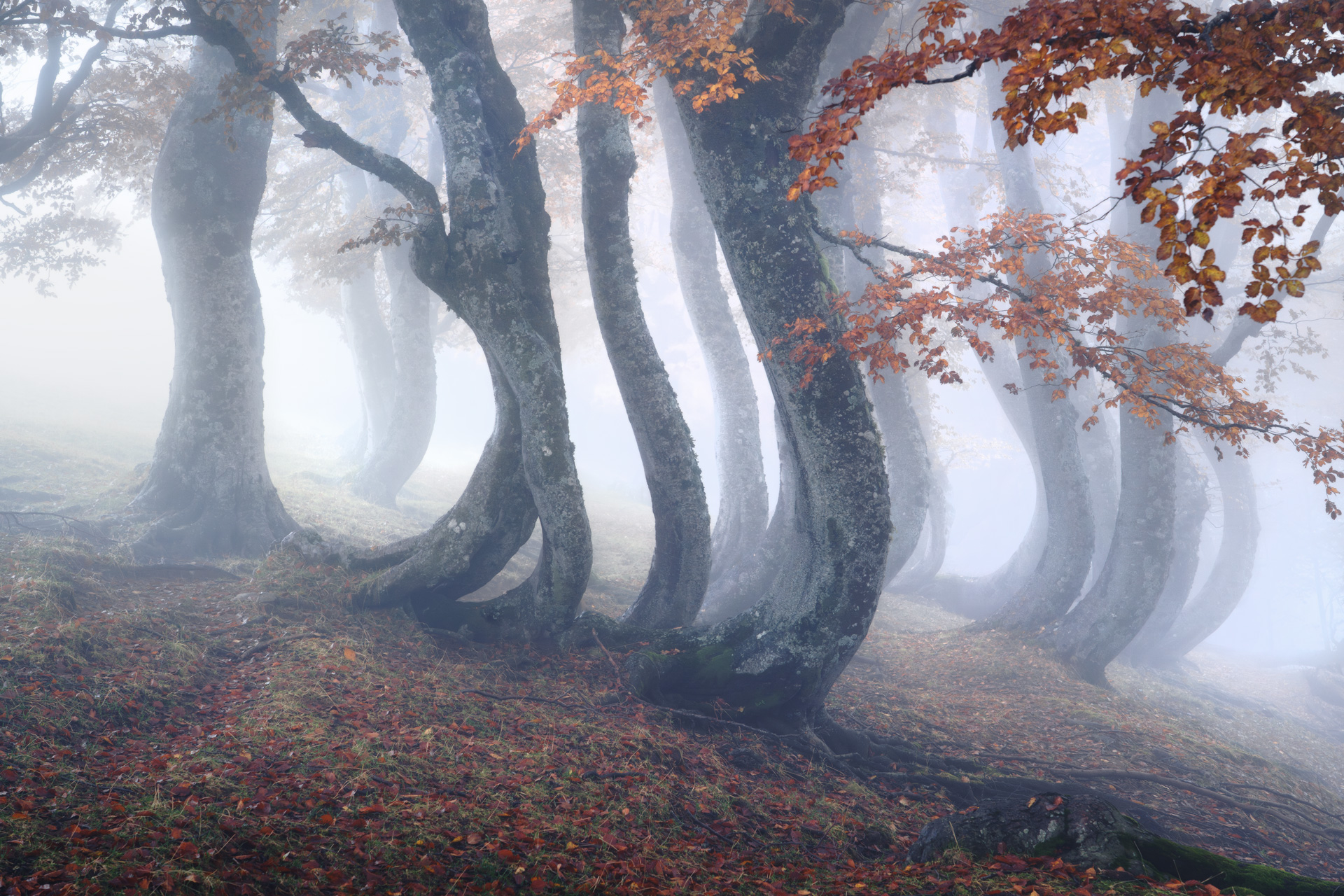Autumn Details 2