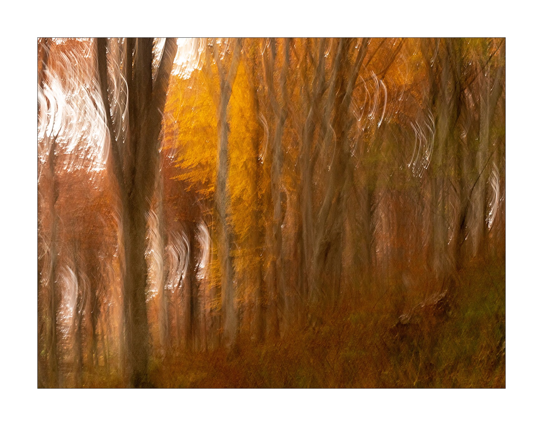 pennellate d'autunno 2