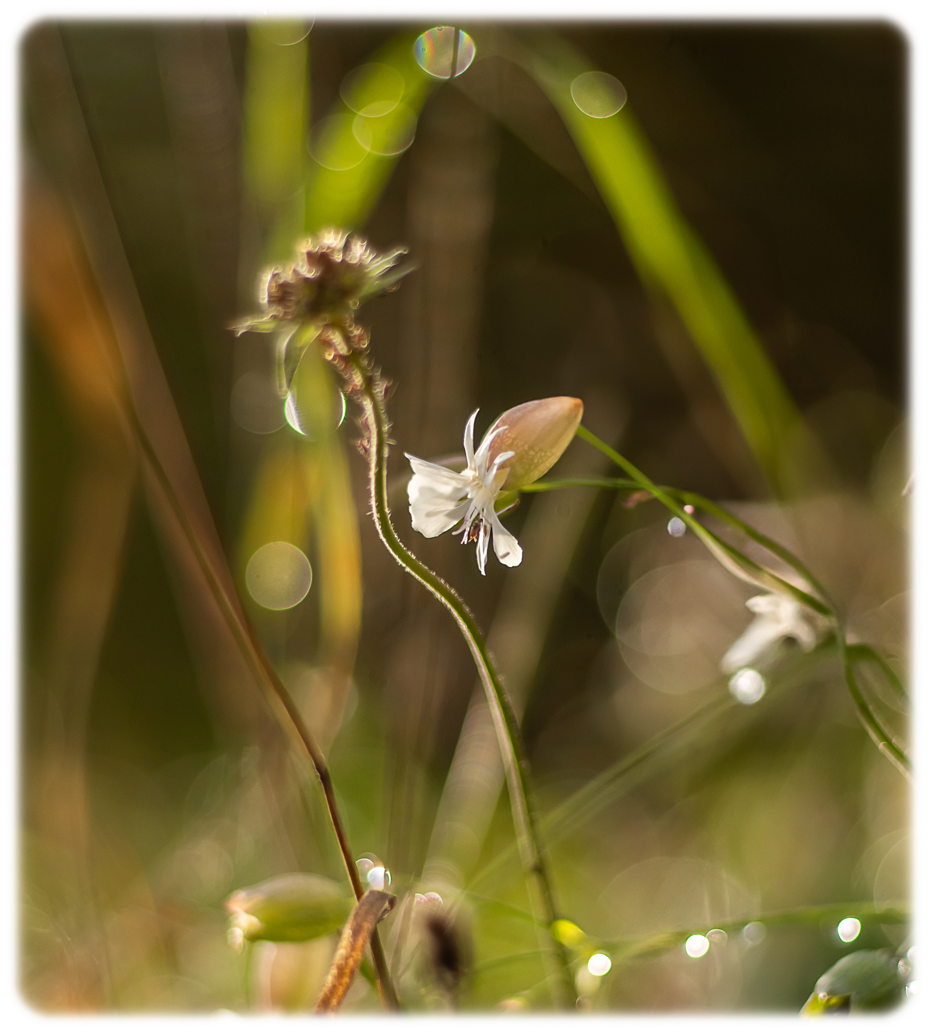 After the October rain