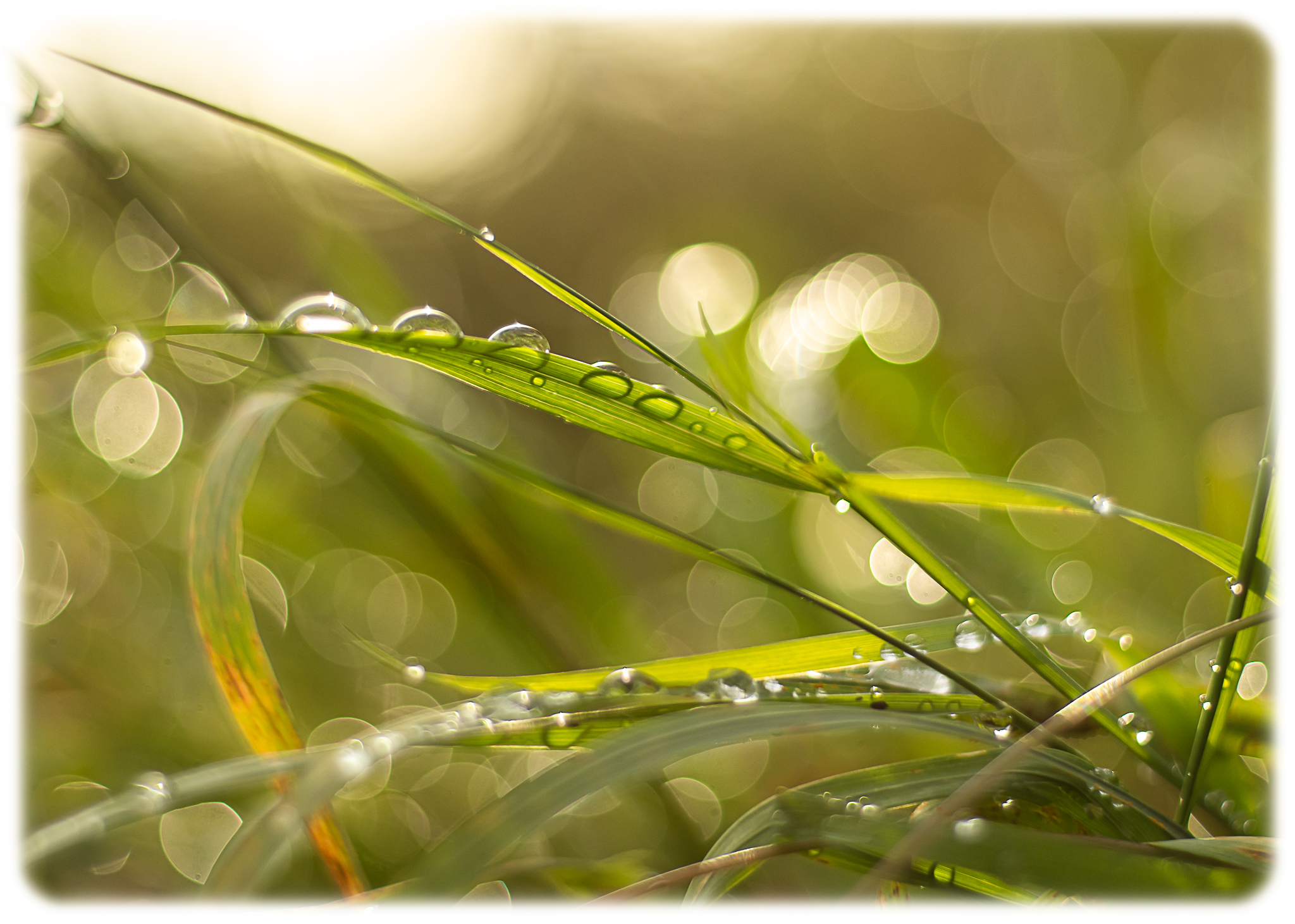 After the October rain