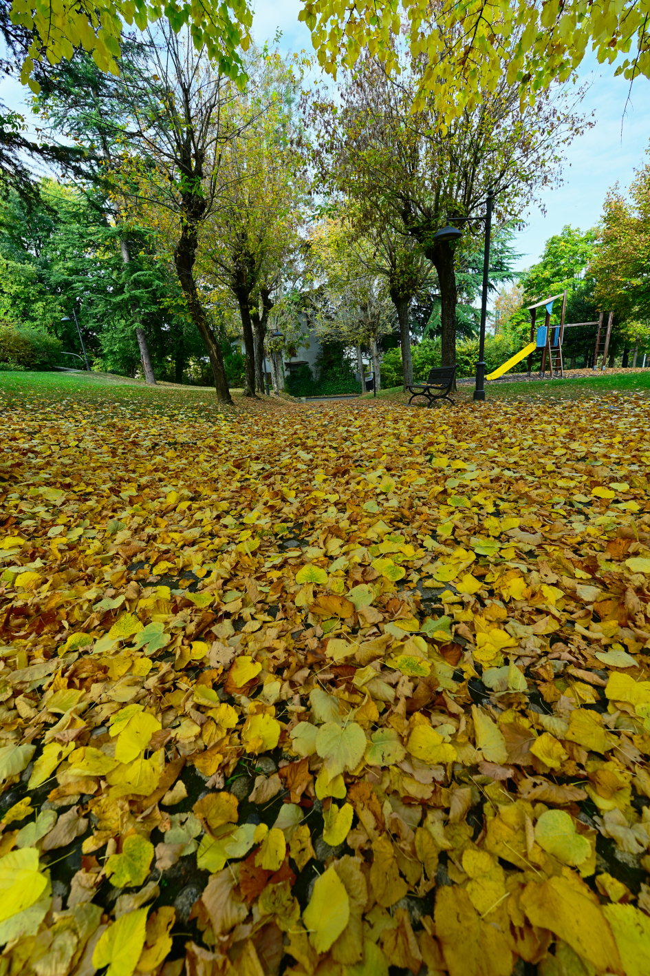 Autumn