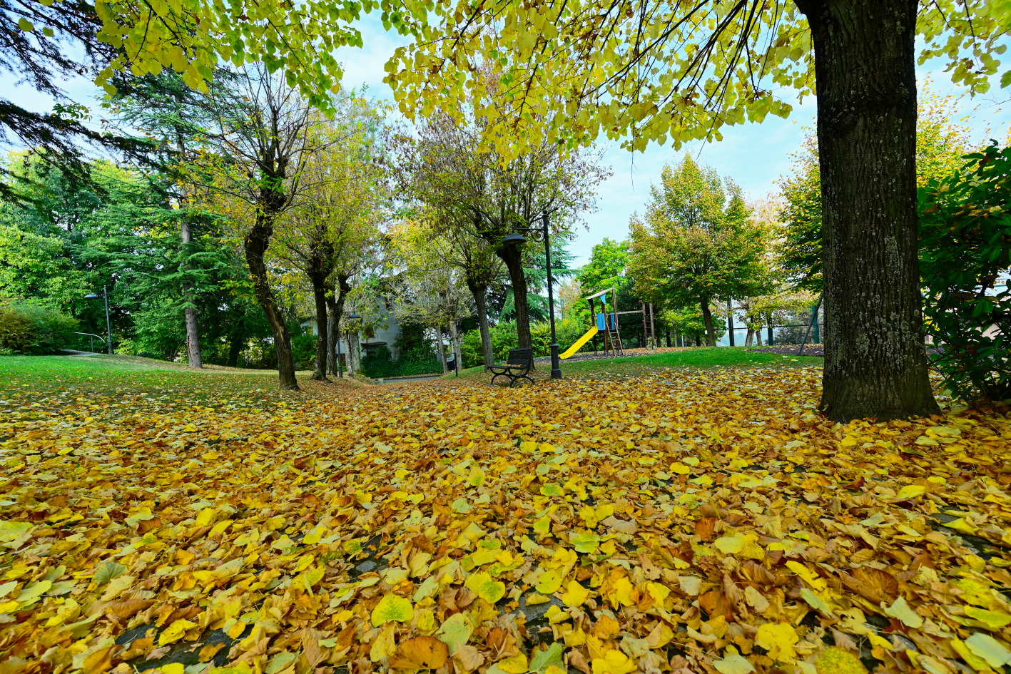 Autumn