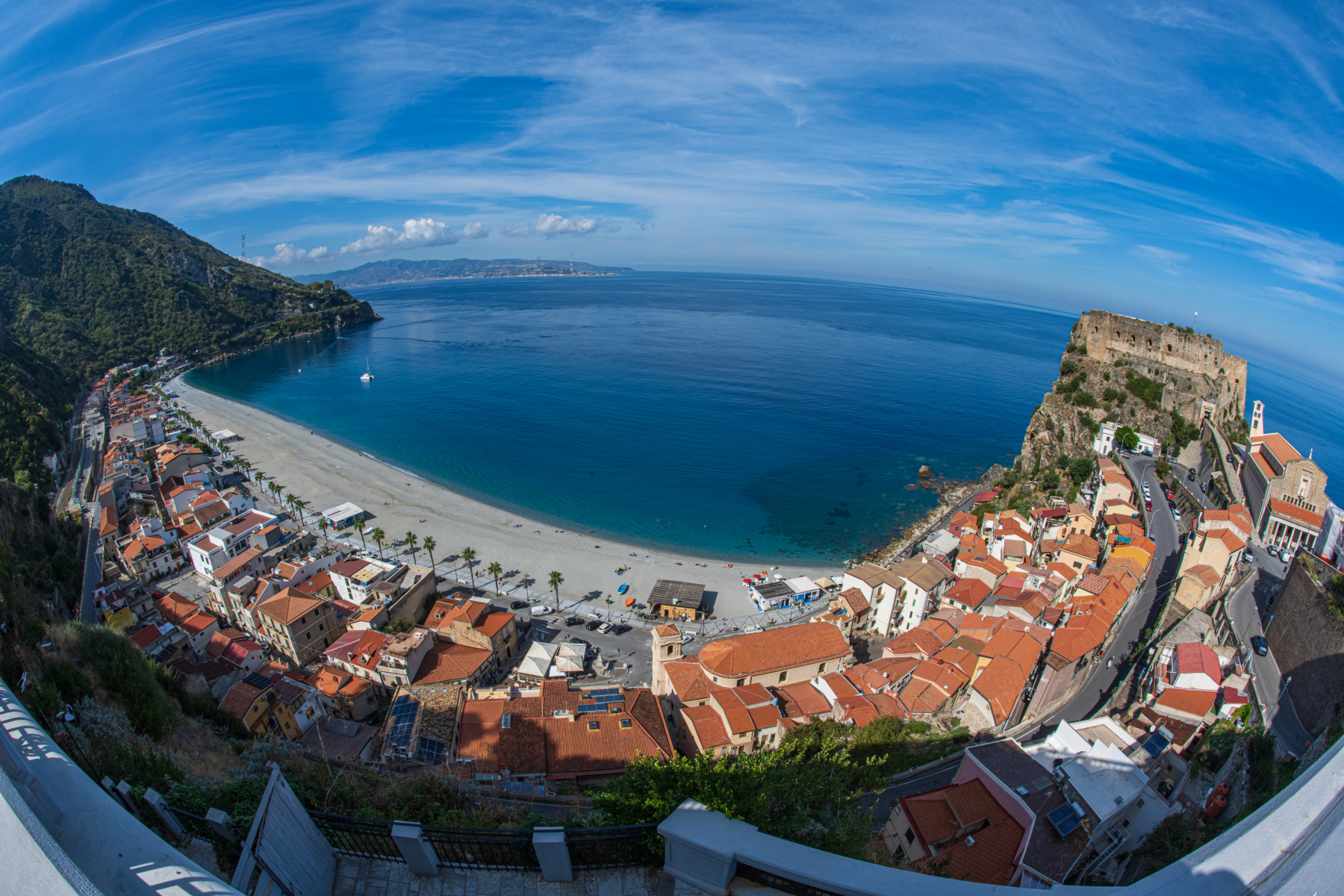 Scilla