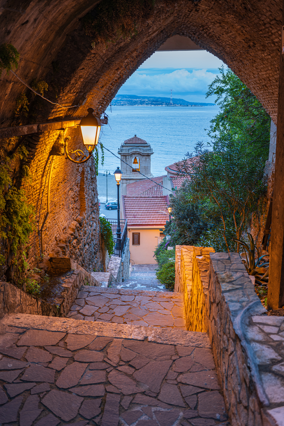 Scilla