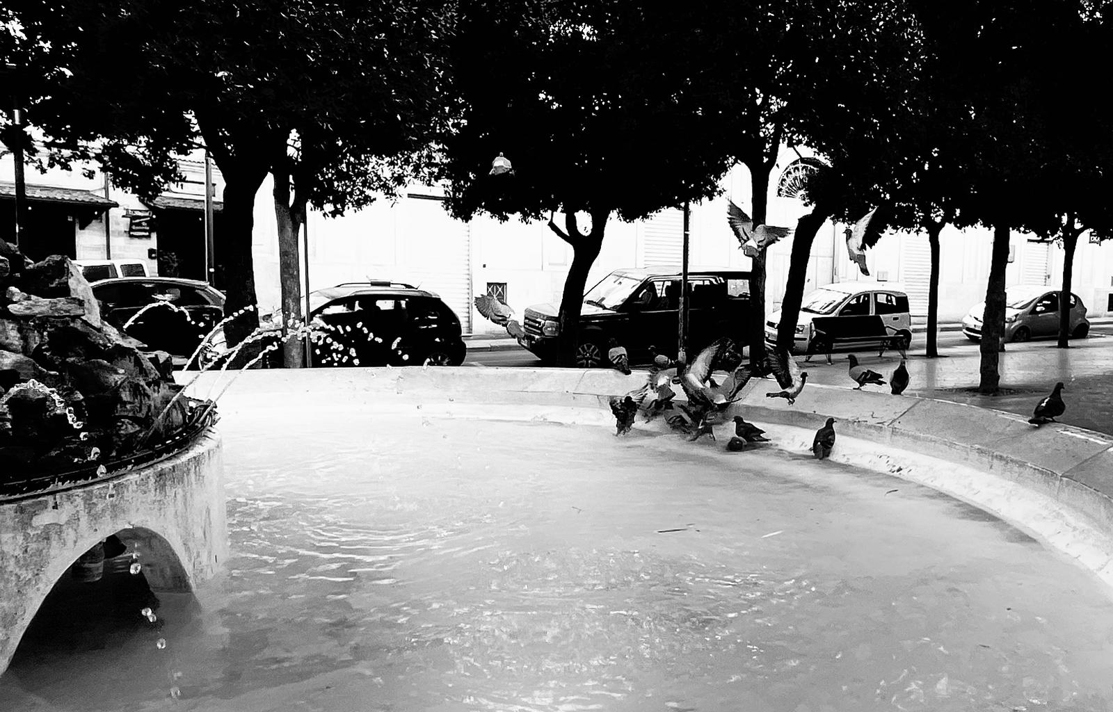 wash.