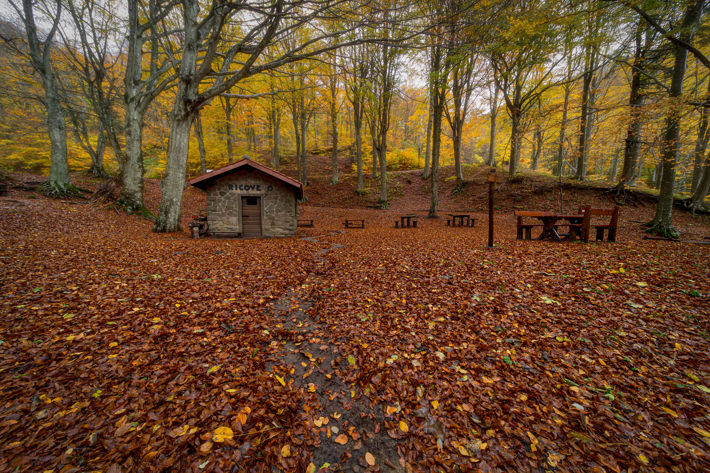 The shelter and its colors