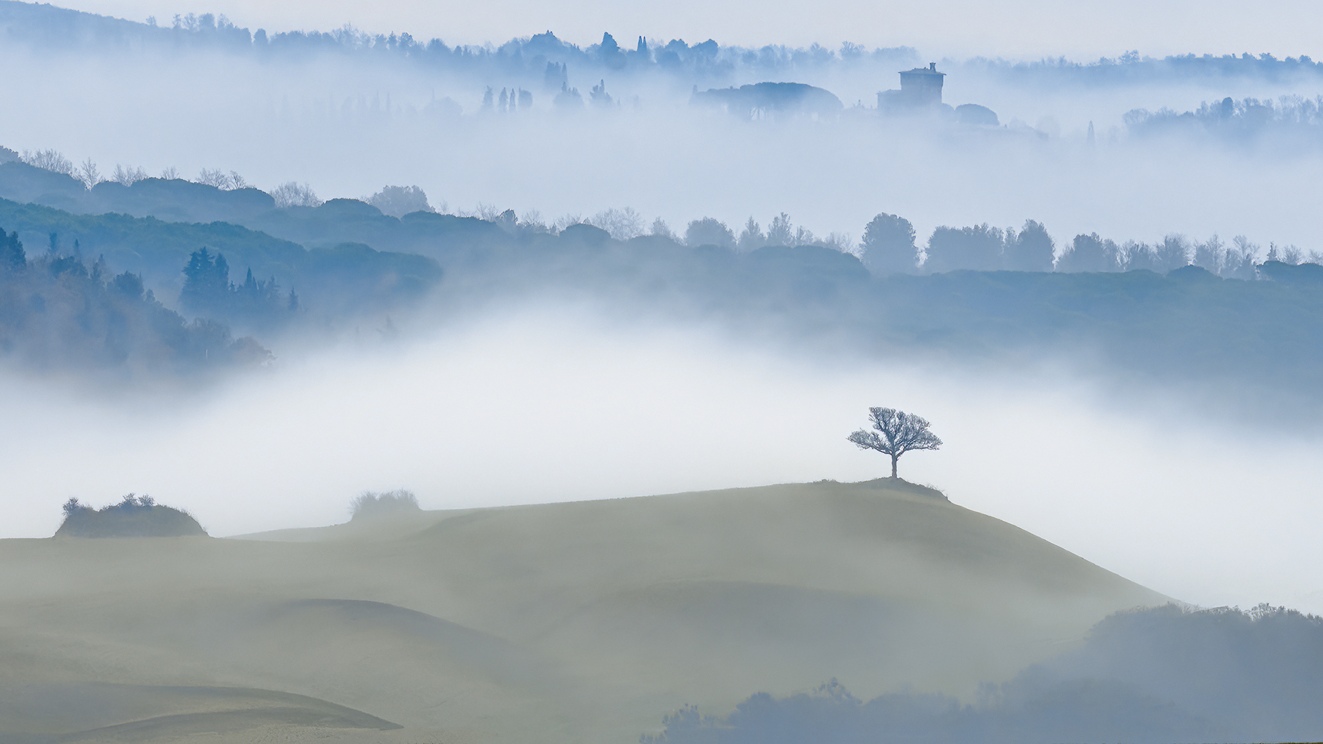 Nebbia sulle colline