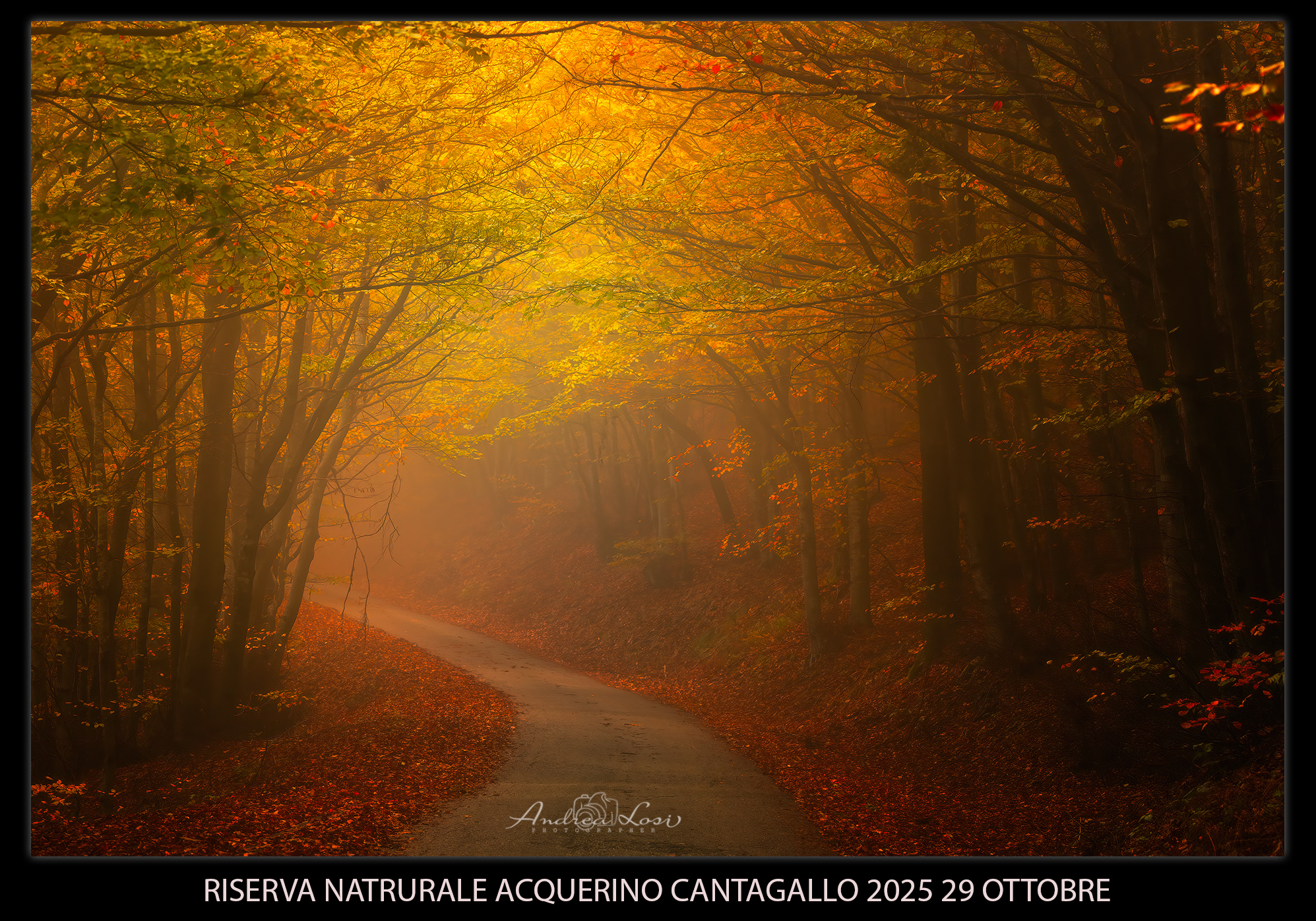 Riserva Aquerino Cantagallo