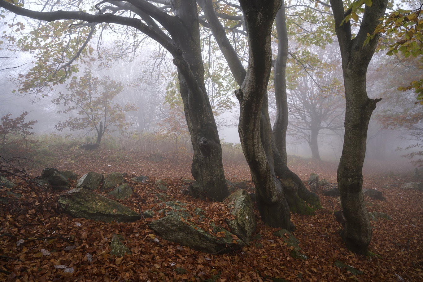 Autumn 2025, Beigua Park
