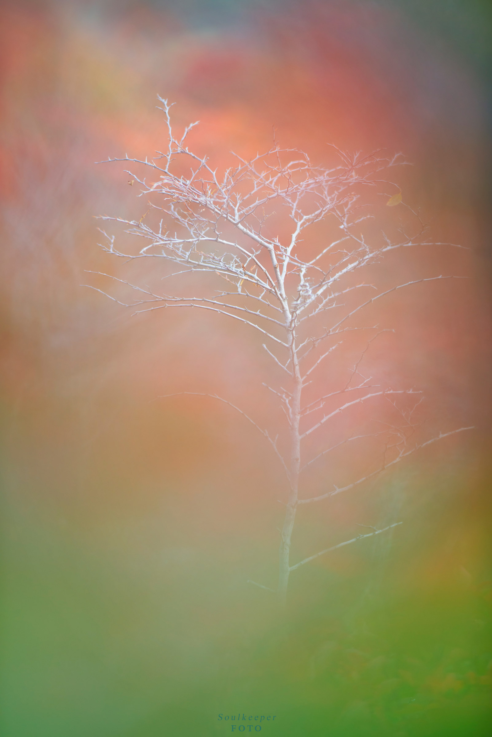 This is also autumn.