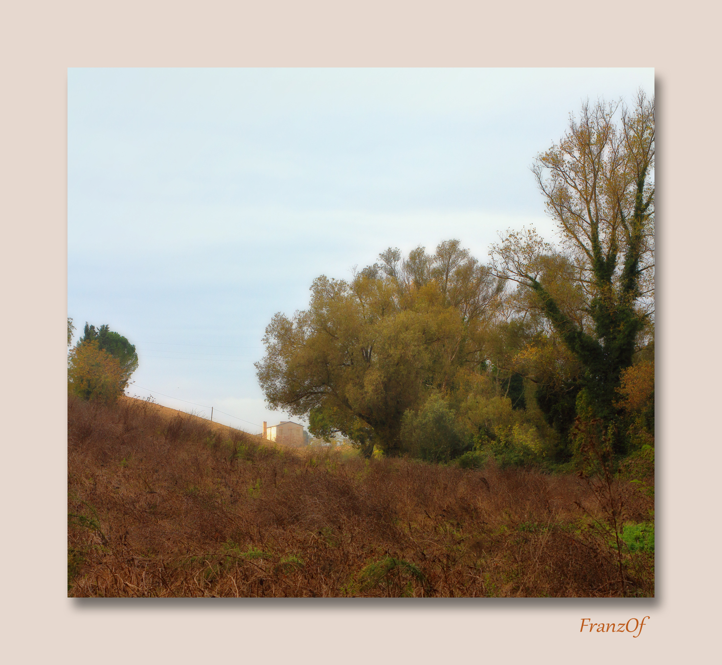 Untitled Photo