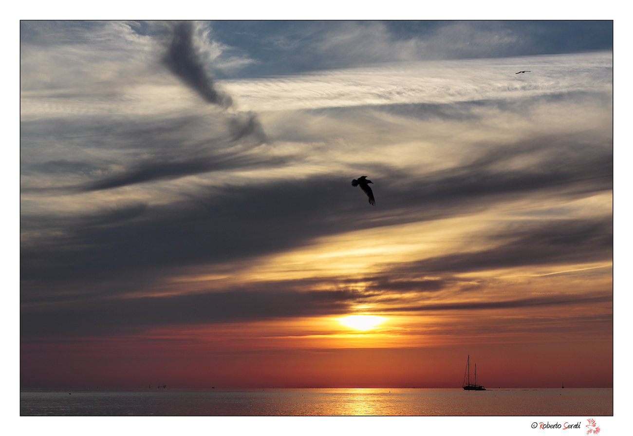 The 'dawn, the ship and the seagull