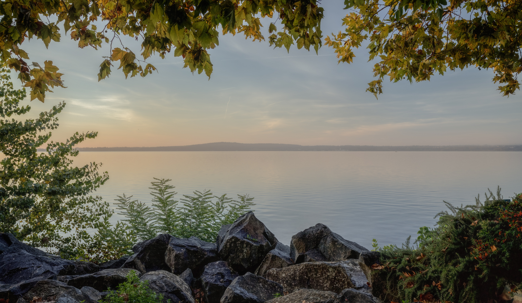 The colors of the morning