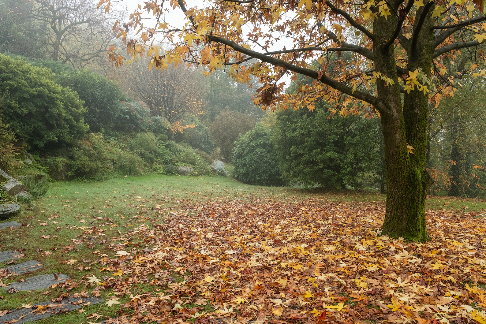 November
