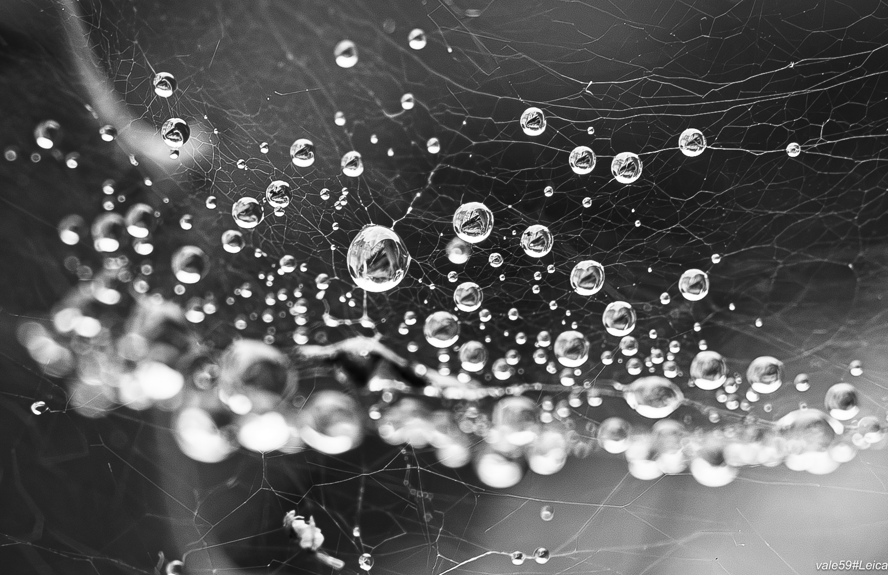 Drops in a microcosm