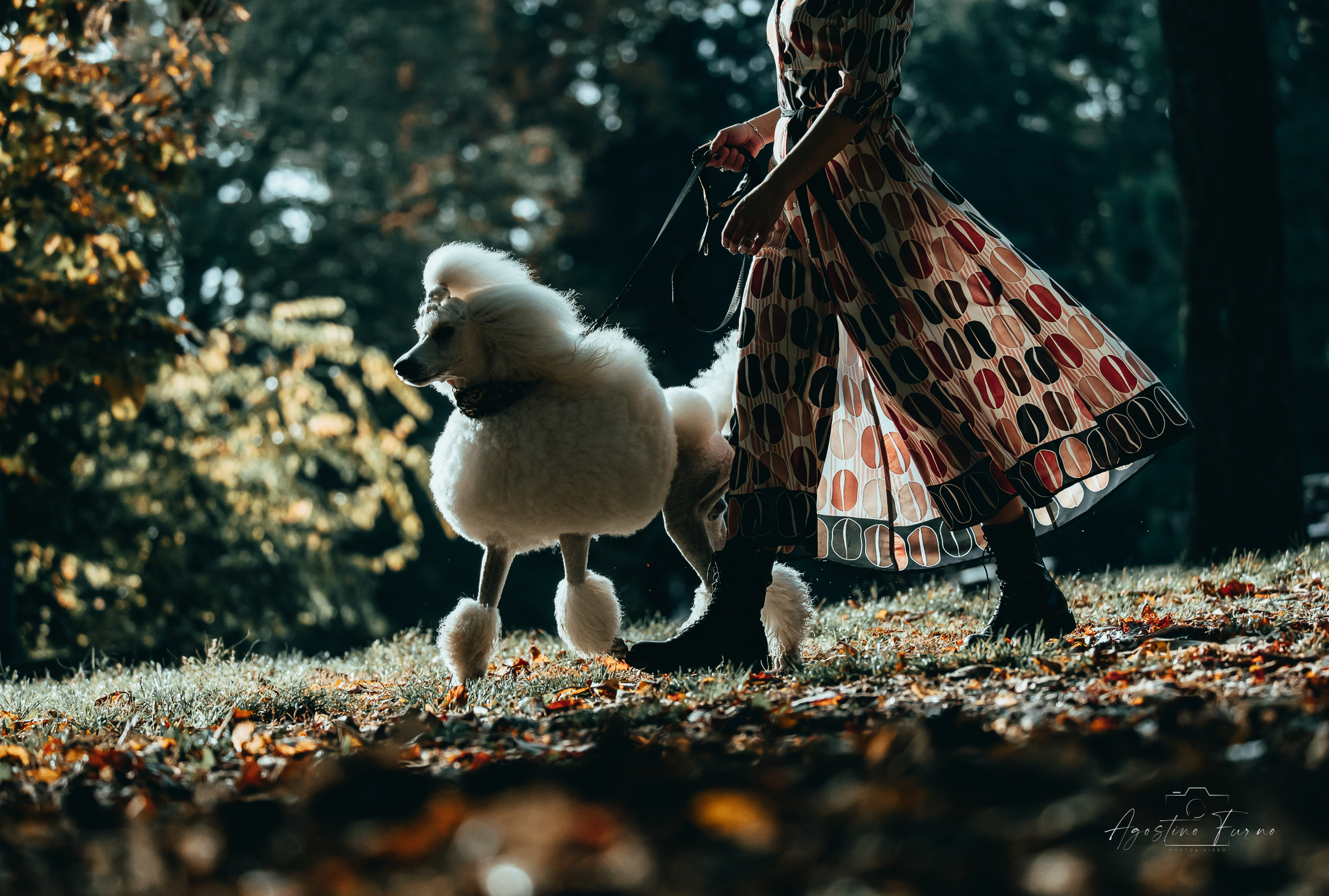 Walking in autumn