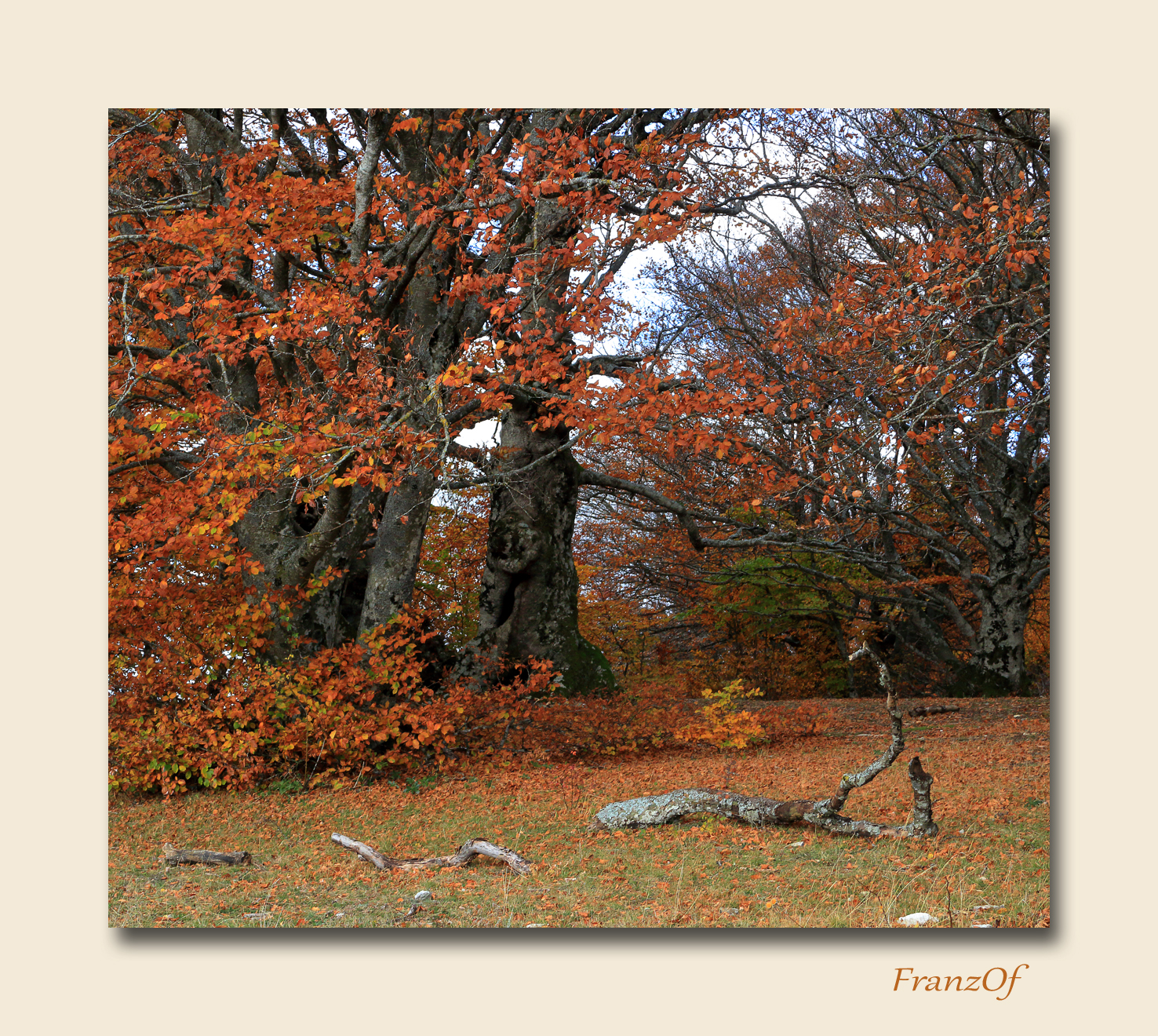 Untitled Photo