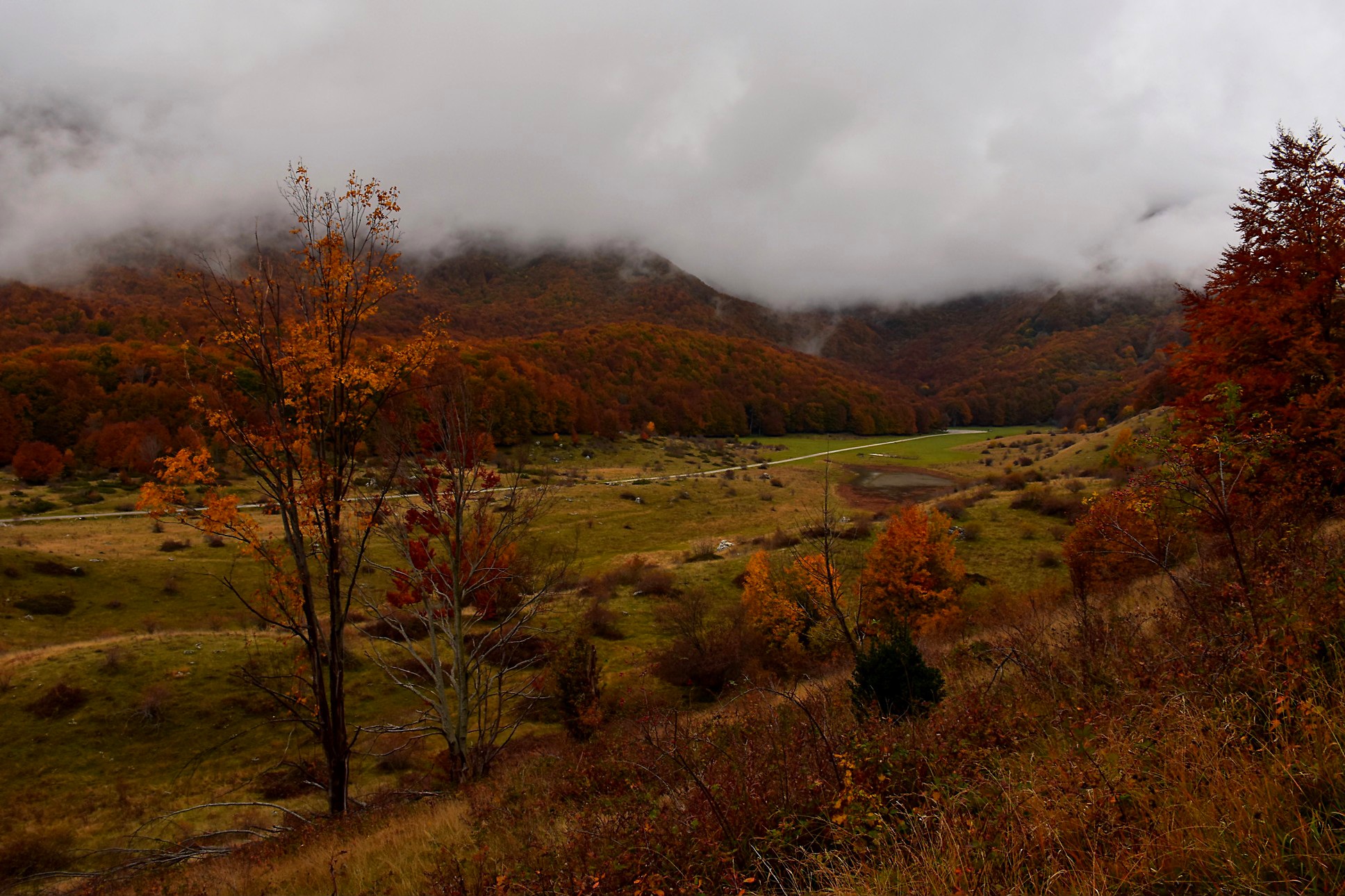 Una passeggiata tranquilla...