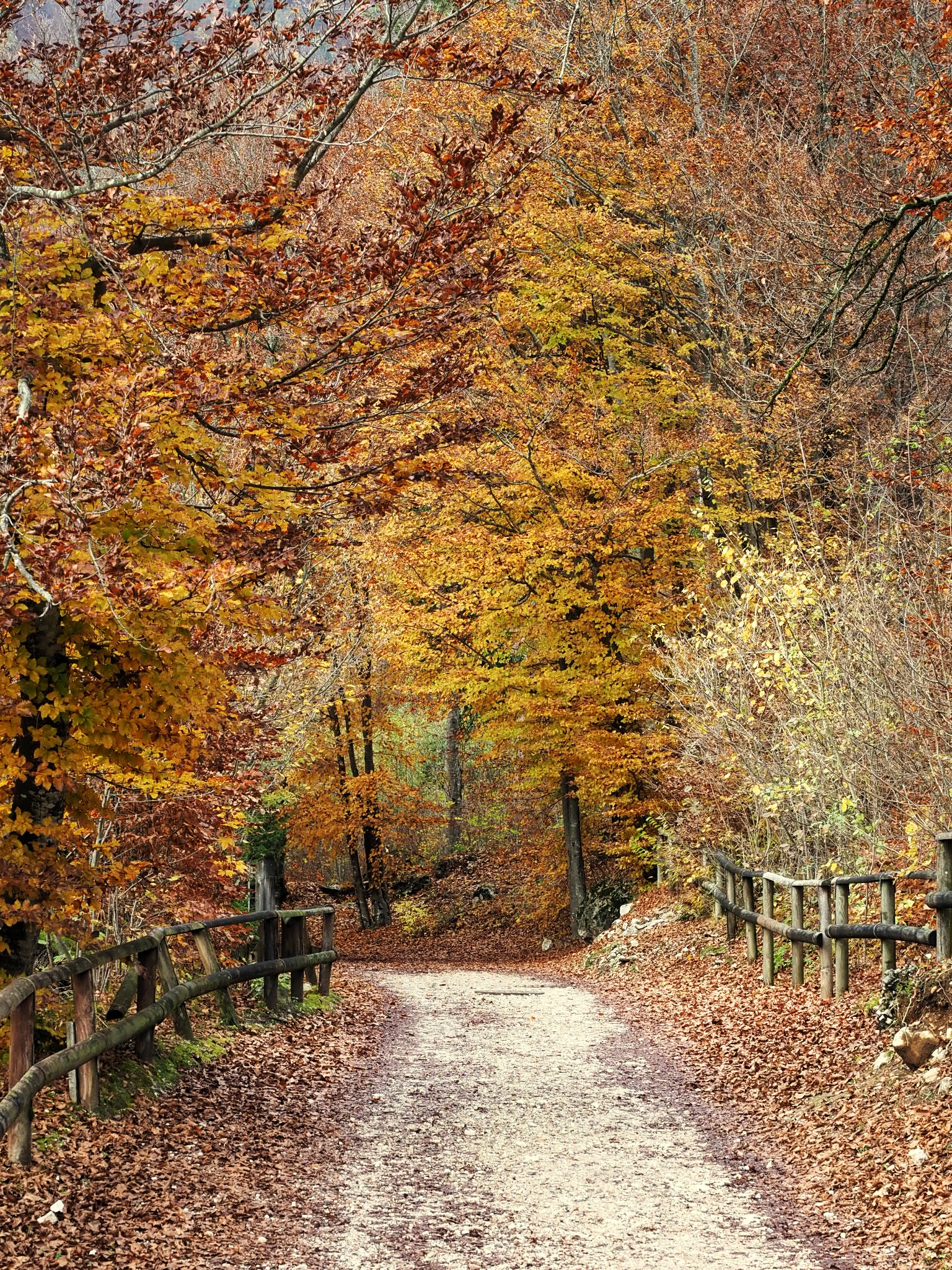 autunno al lago di Cei