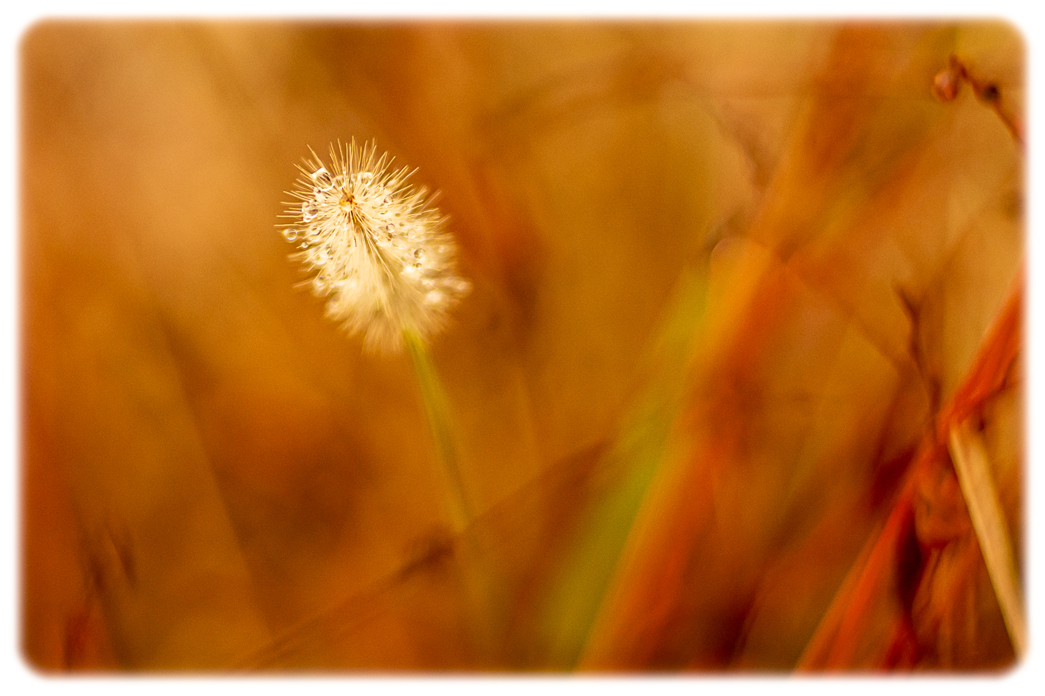 with a different eye