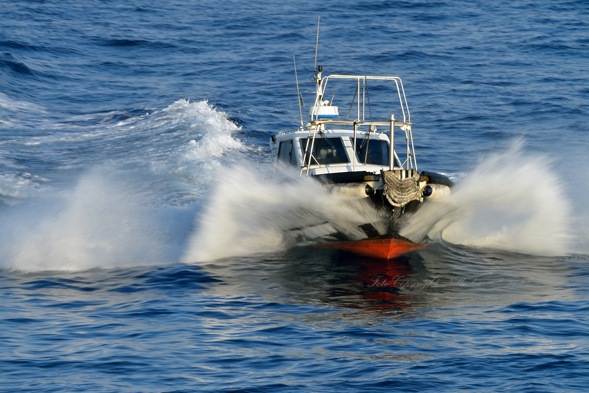 Pilotina Civitavecchia 1