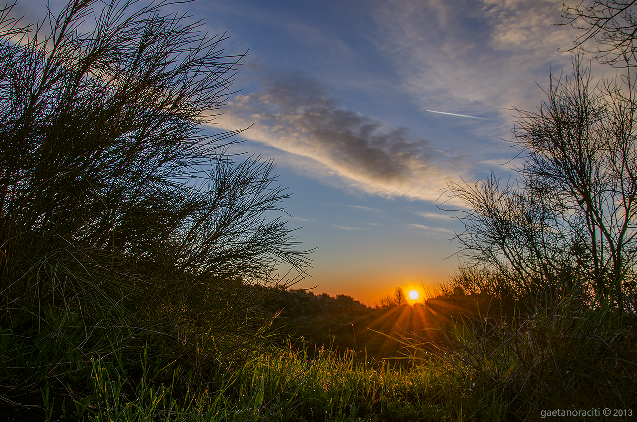 Sunrise between lavas and brooms