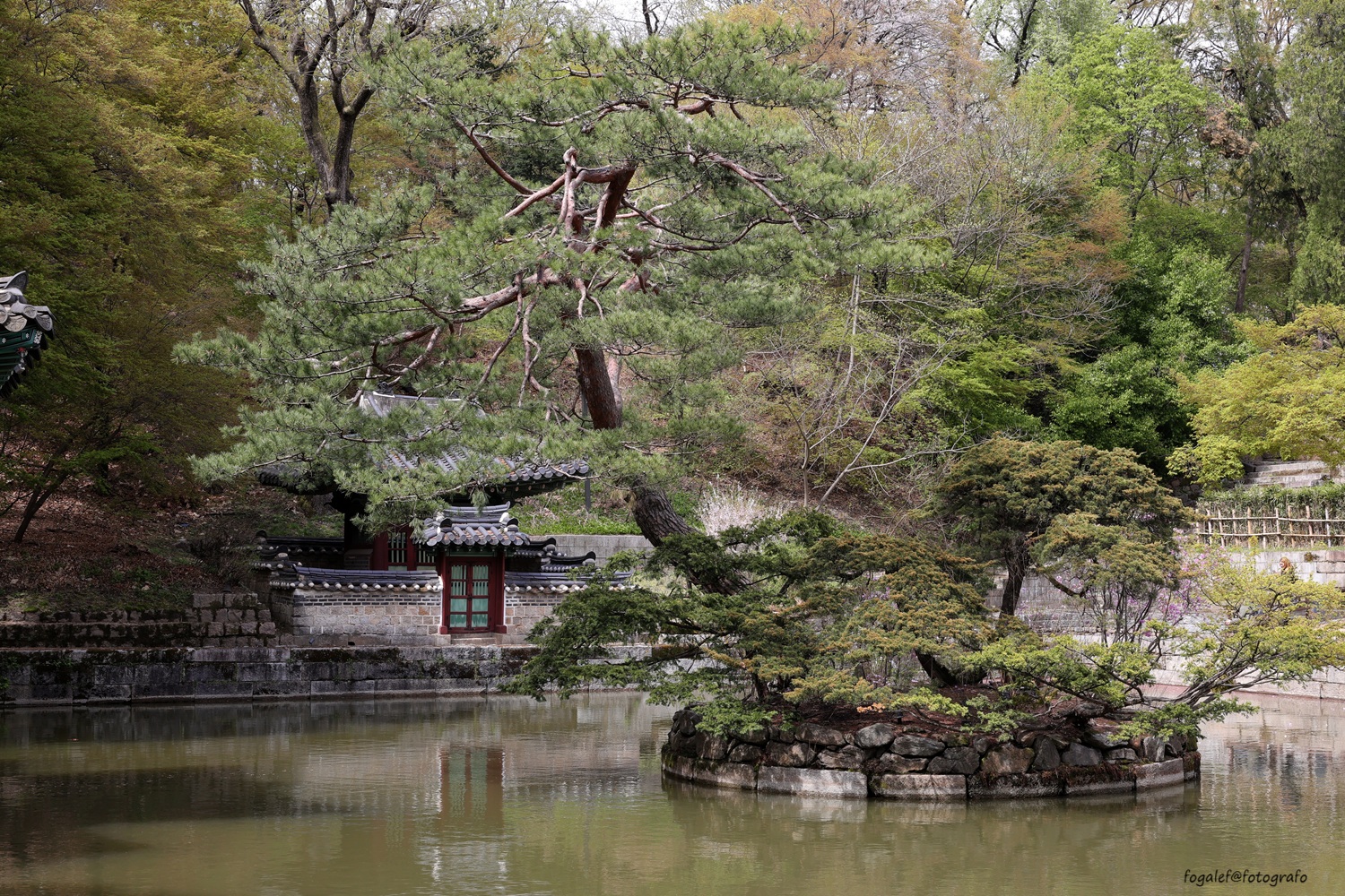 Korea