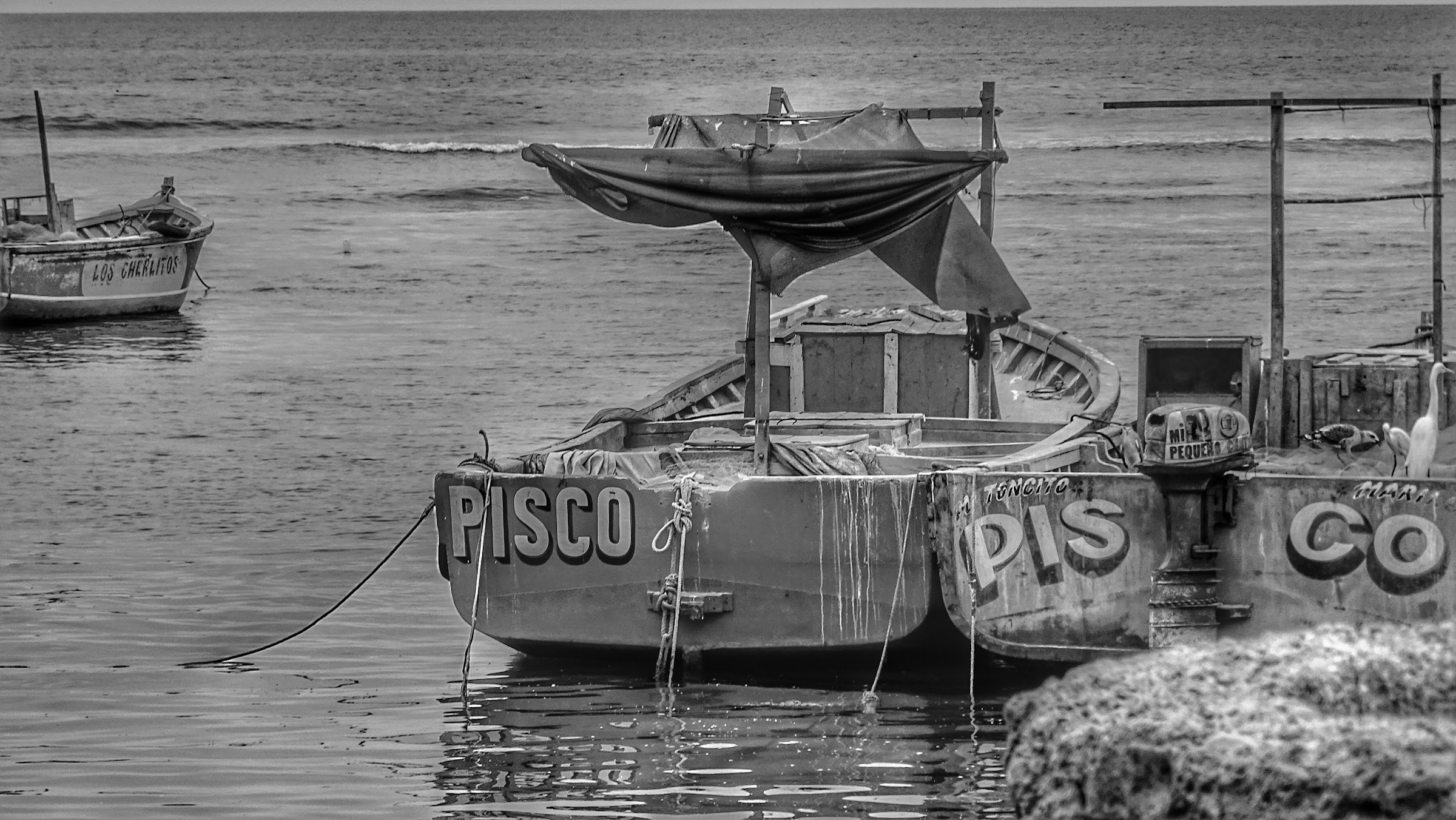 Pisco