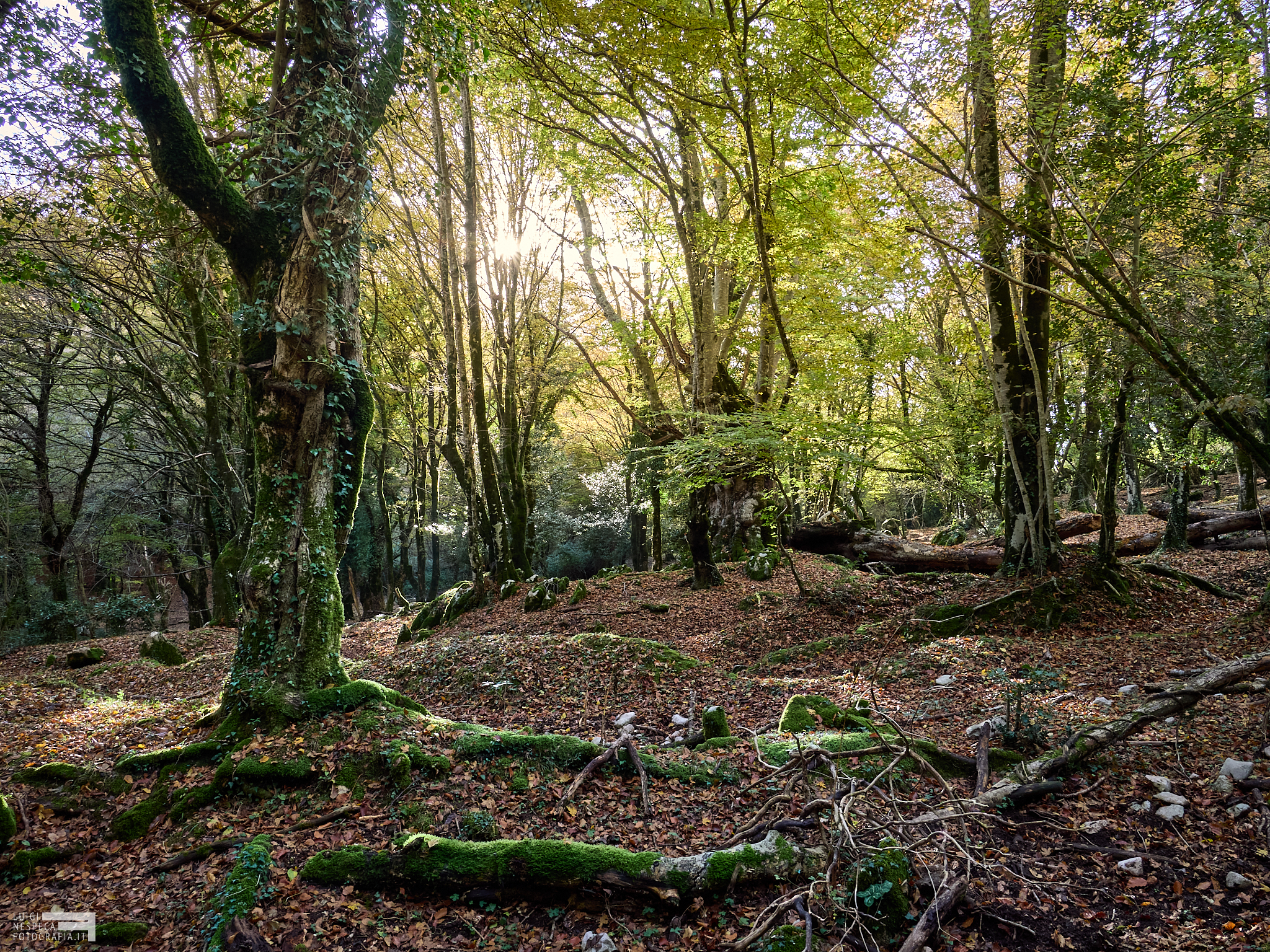 Autunno sul Monte Gennaro - Valle Cavalera
