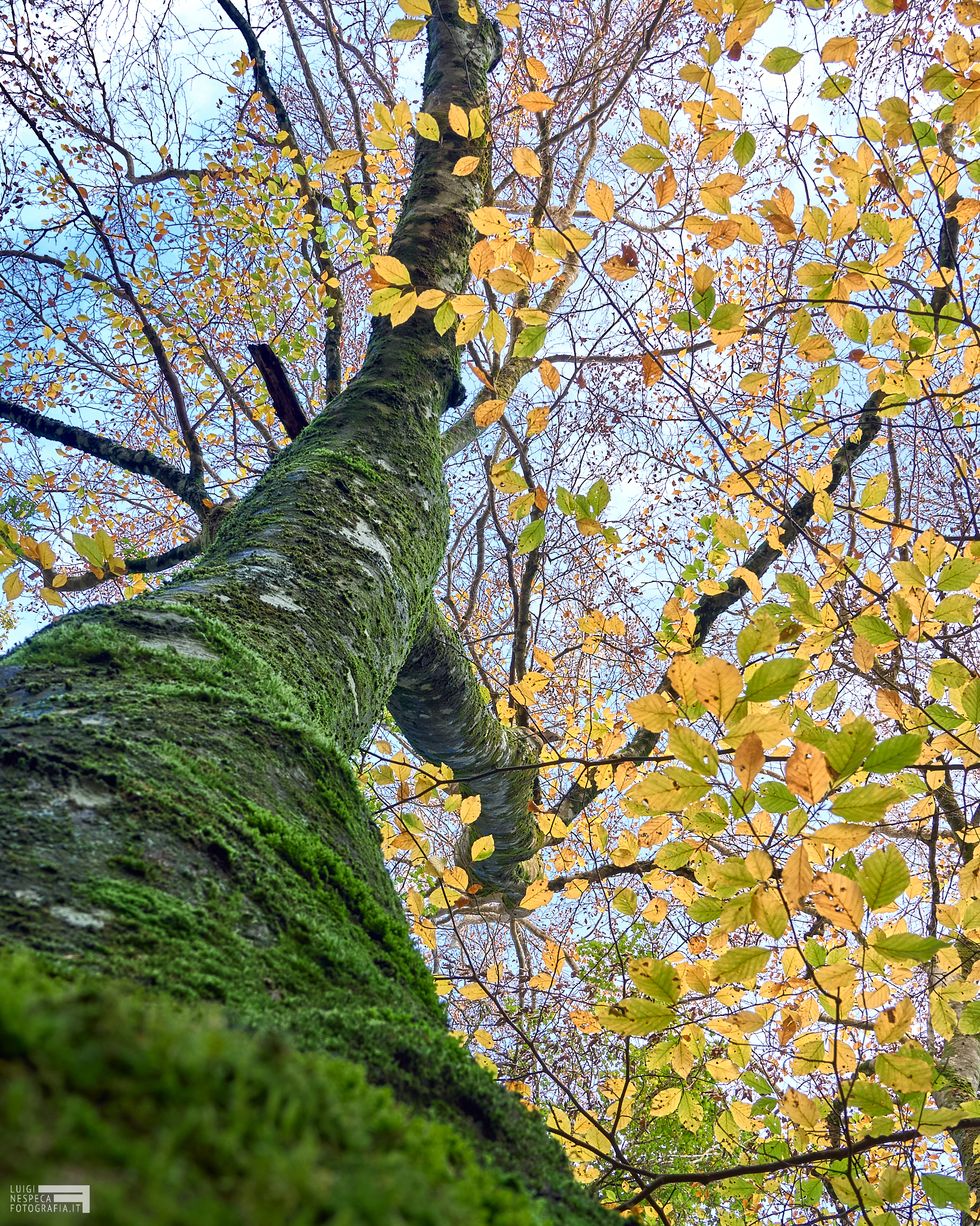 Autumn on Monte Gennaro - Valle Cavalera